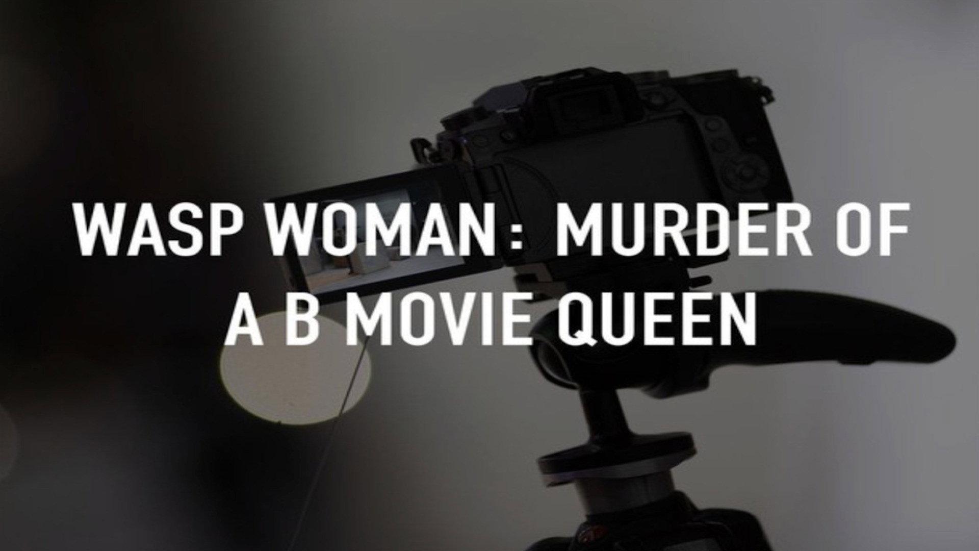 Wasp Woman: Murder of a B-movie Queen 2025 movie scene