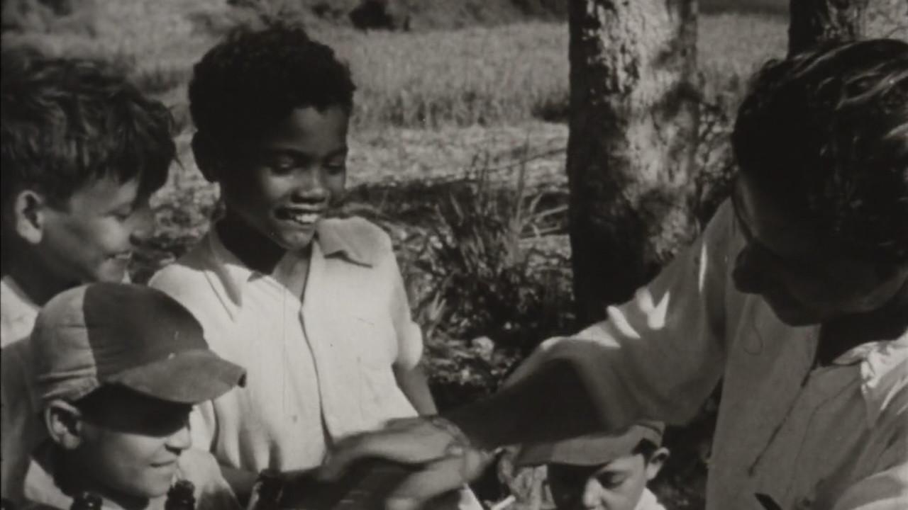 The Roots of Happiness 1953 movie scene