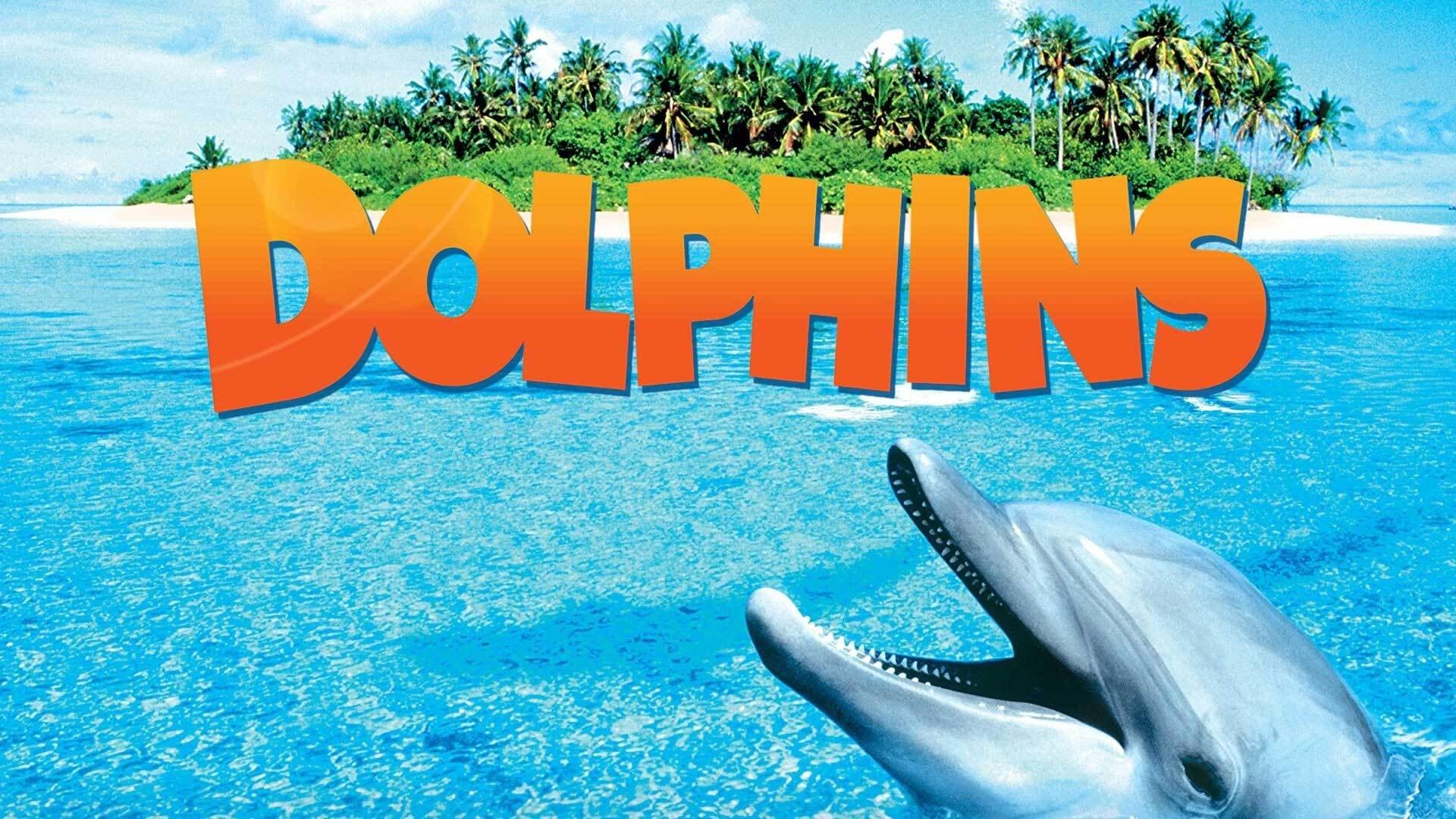 Dolphins 2000 movie scene