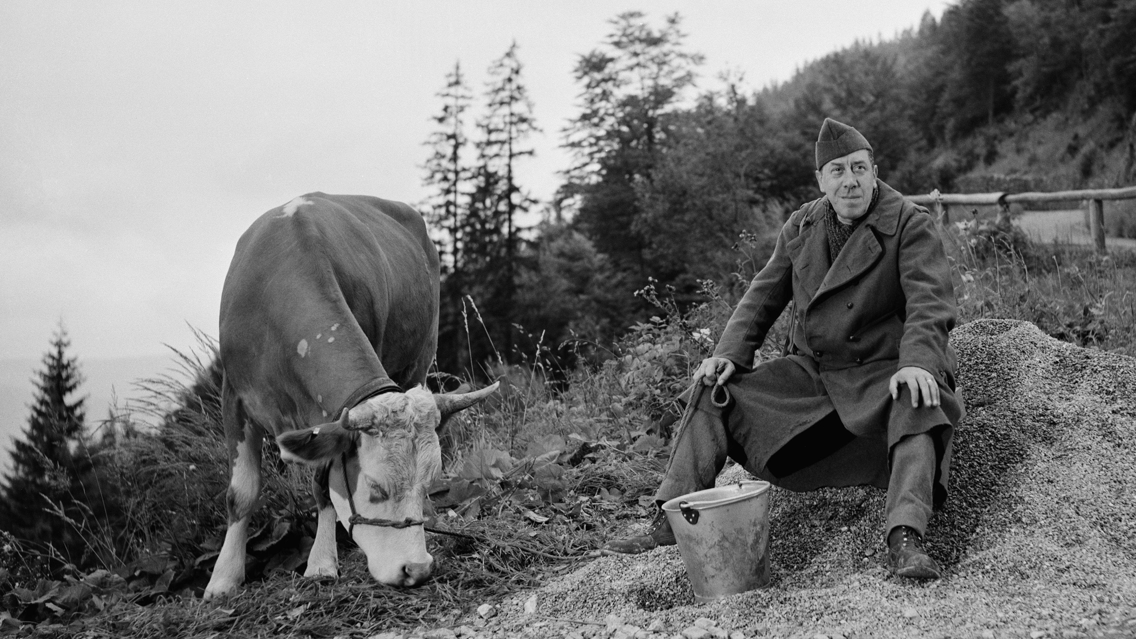 The Cow and I 1959 movie scene