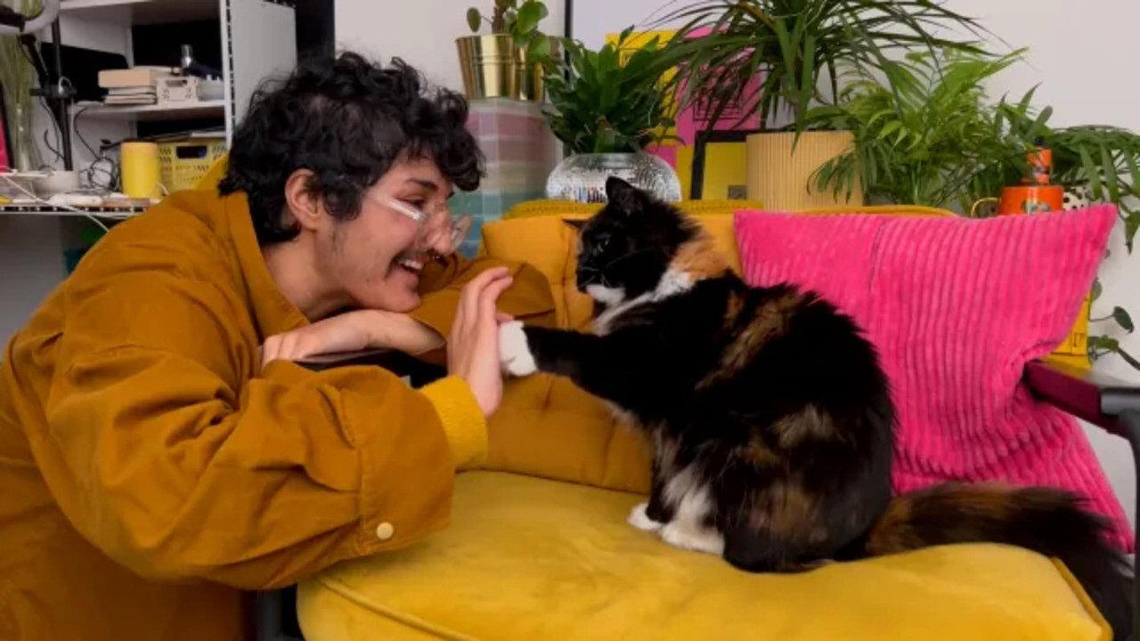 Pawesome!  movie scene
