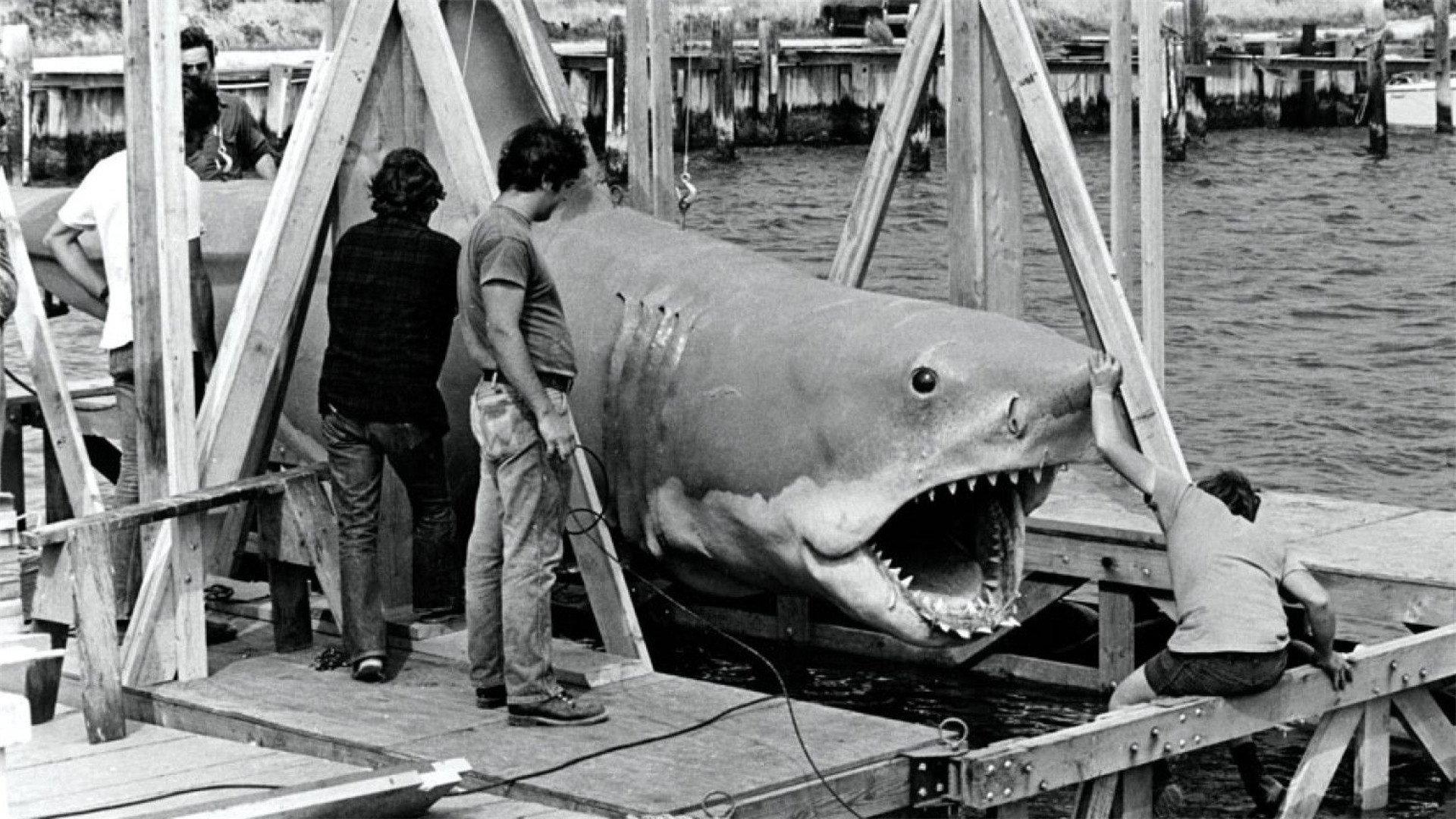 The Shark Is Still Working 2009 movie scene