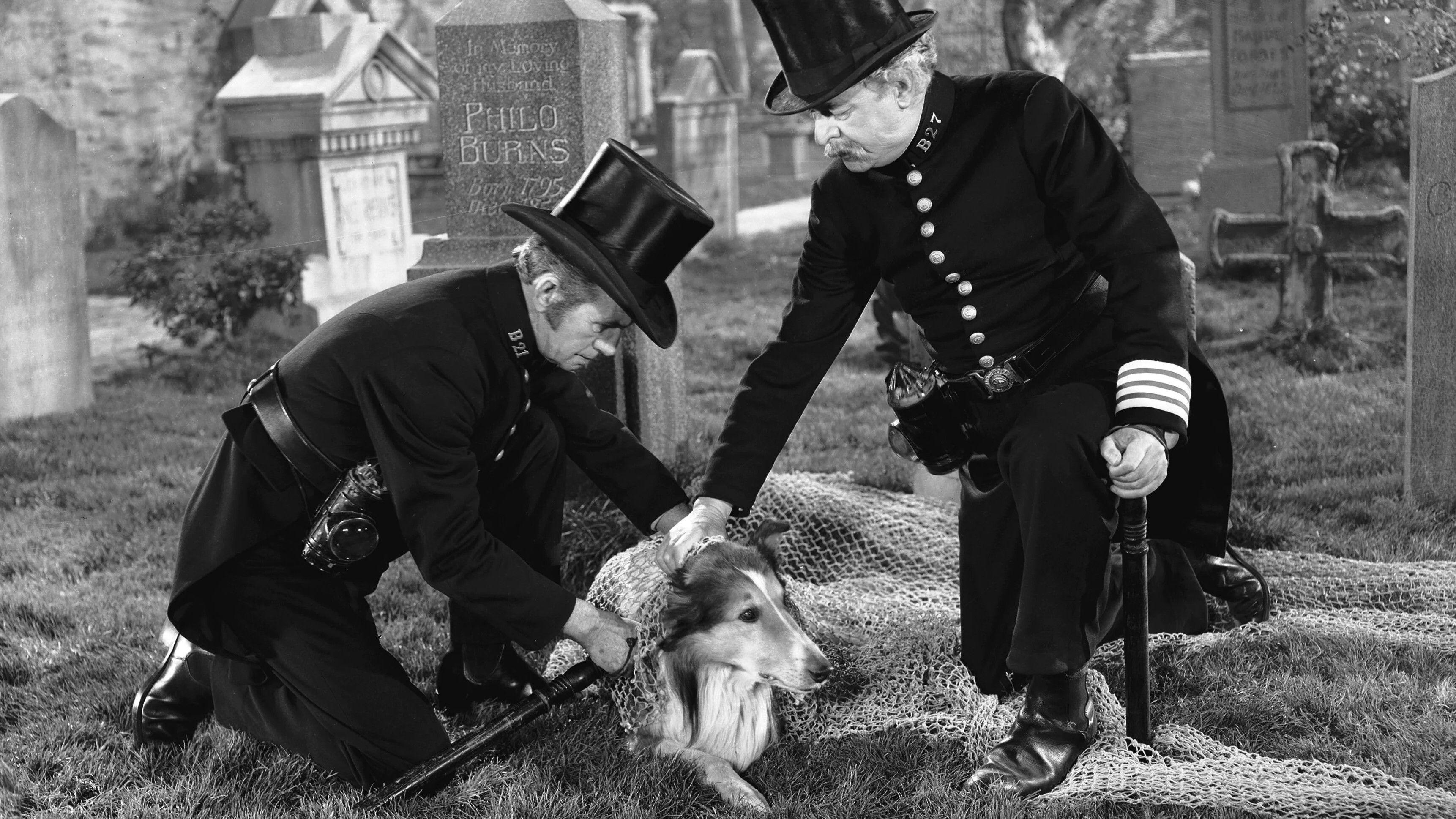 Challenge to Lassie 1949 movie scene