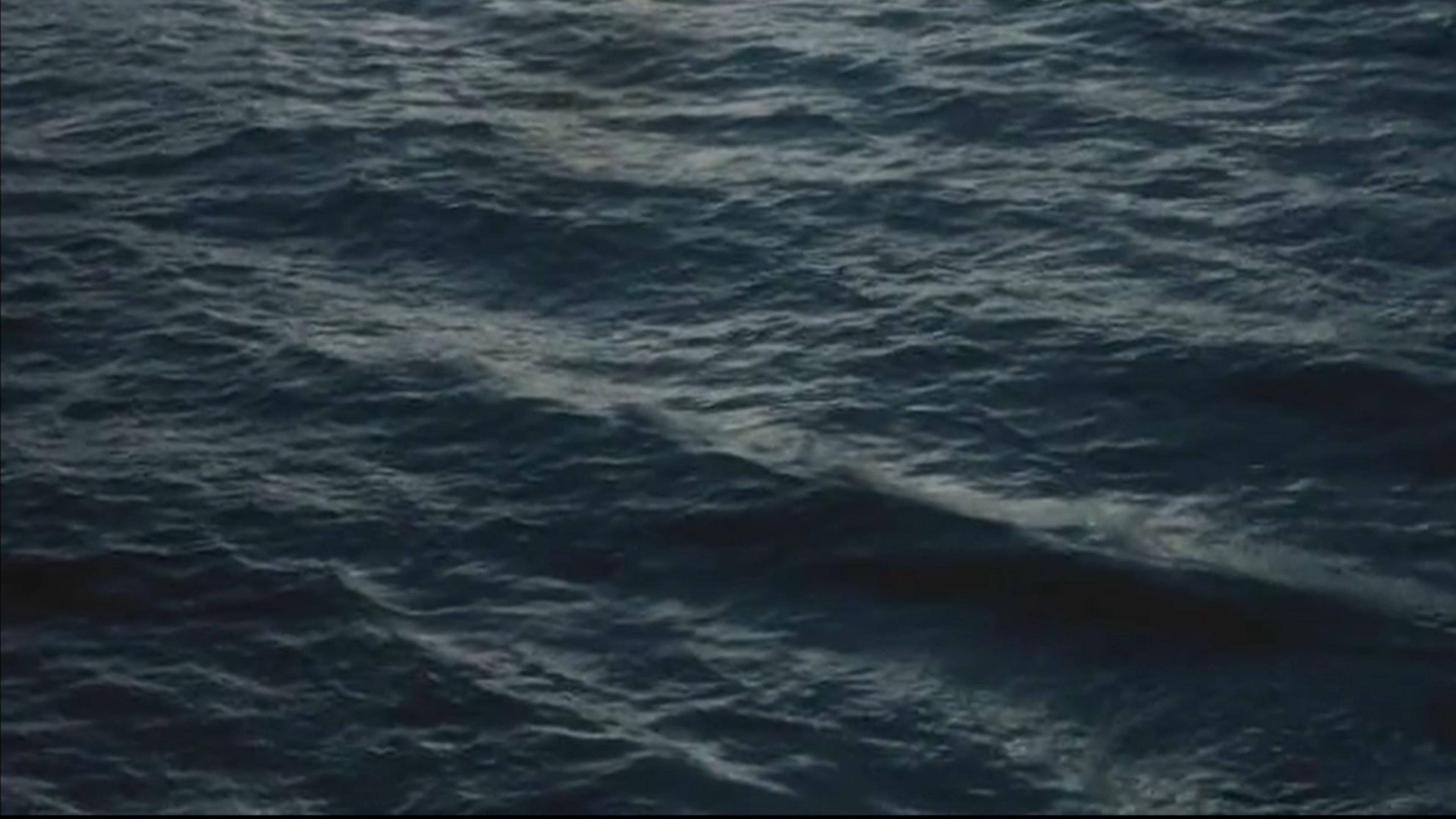 Sick of Moving Images 2024 movie scene