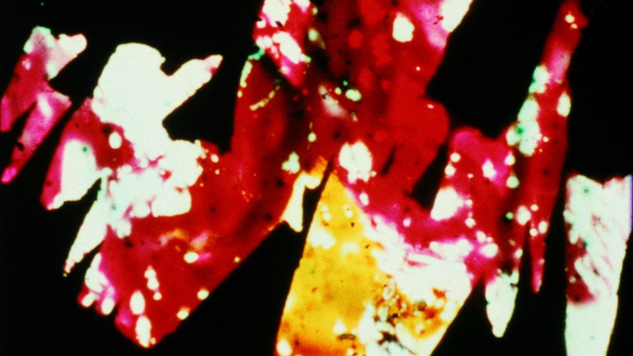 Divinations 1964 movie scene