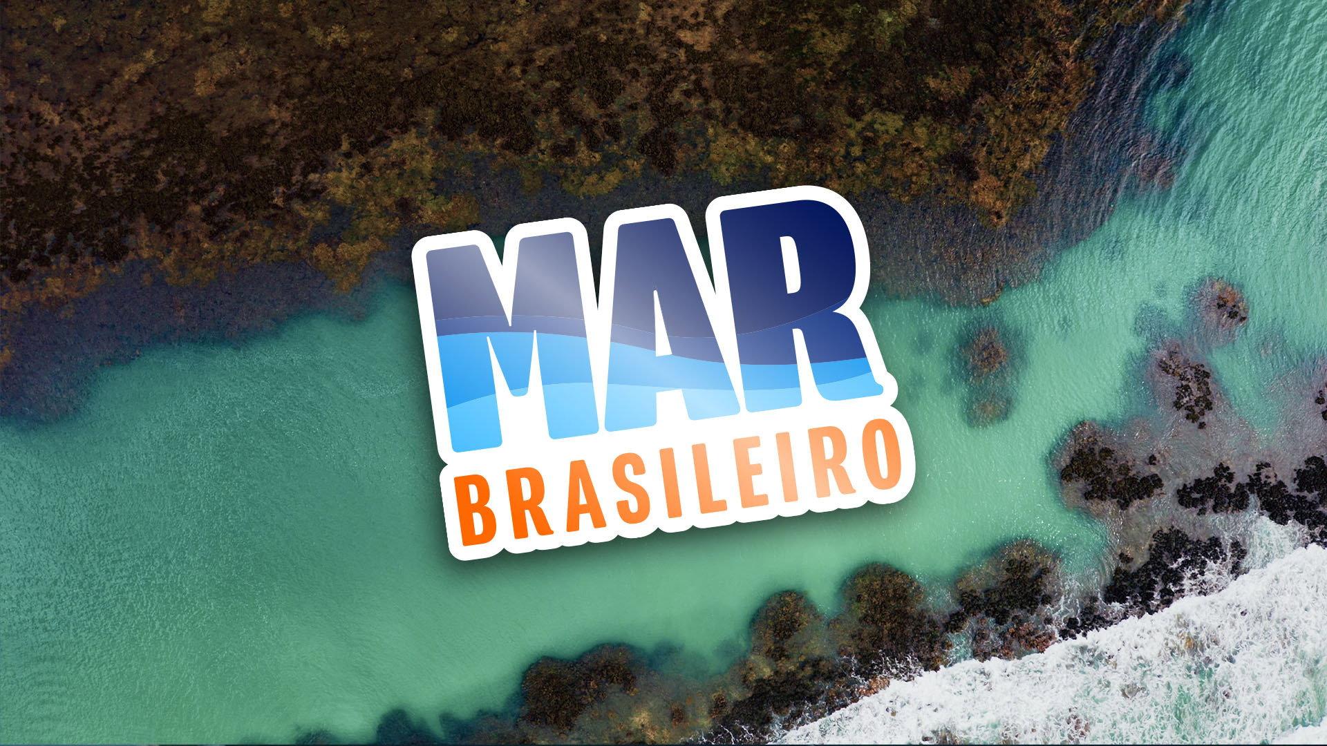 Mar Brasileiro 2024 movie scene
