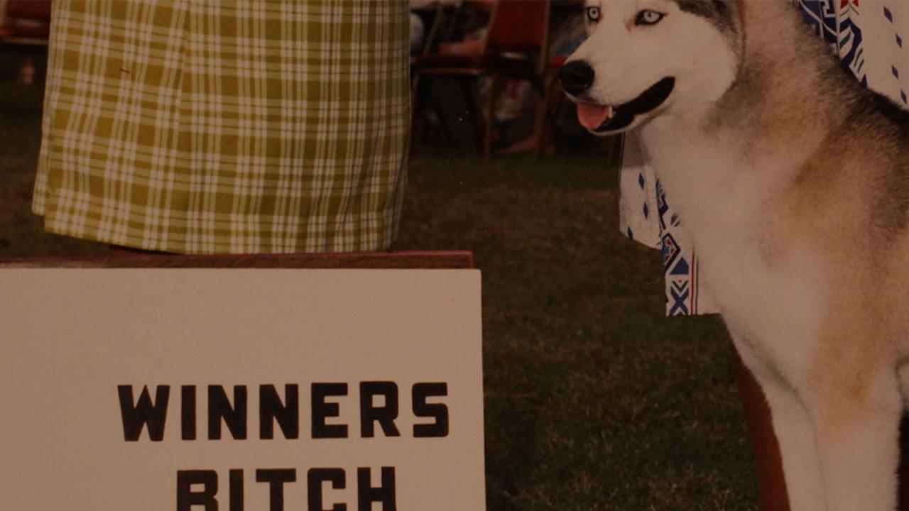 Winners Bitch 2018 movie scene
