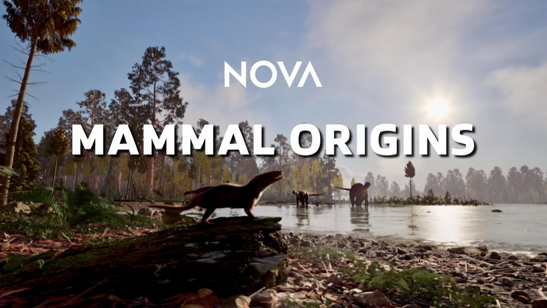 Mammal Origins 2026 movie scene
