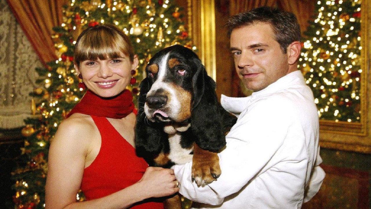 Der Weihnachtshund 2004 movie scene