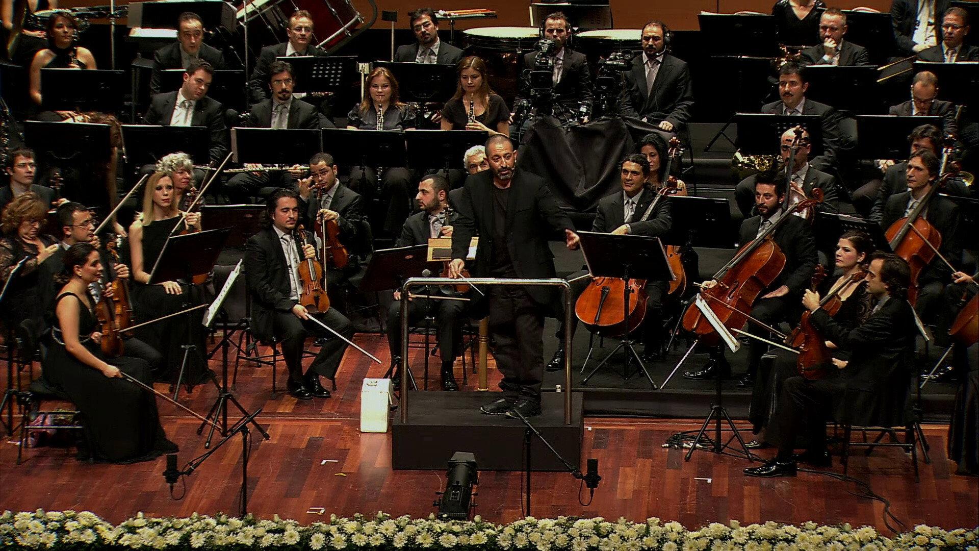 Bifo & CMYLMZ 2011 movie scene