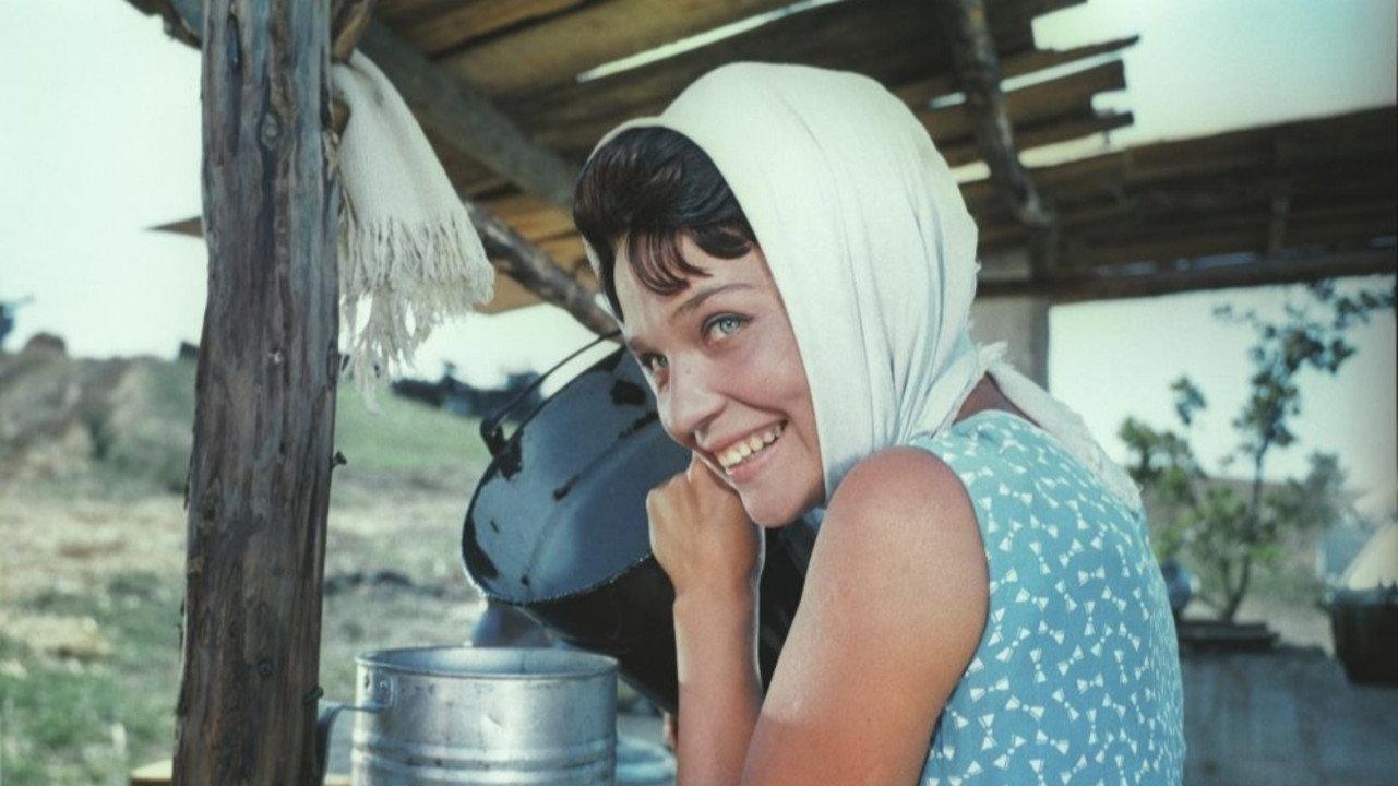 The Cook 1966 movie scene