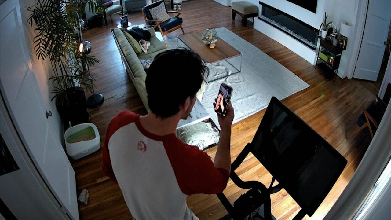 Cat Cam 2026 movie scene