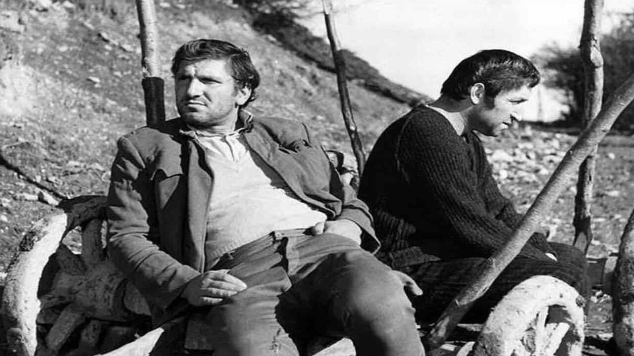 The Man from the Oak Forest 1964 movie scene
