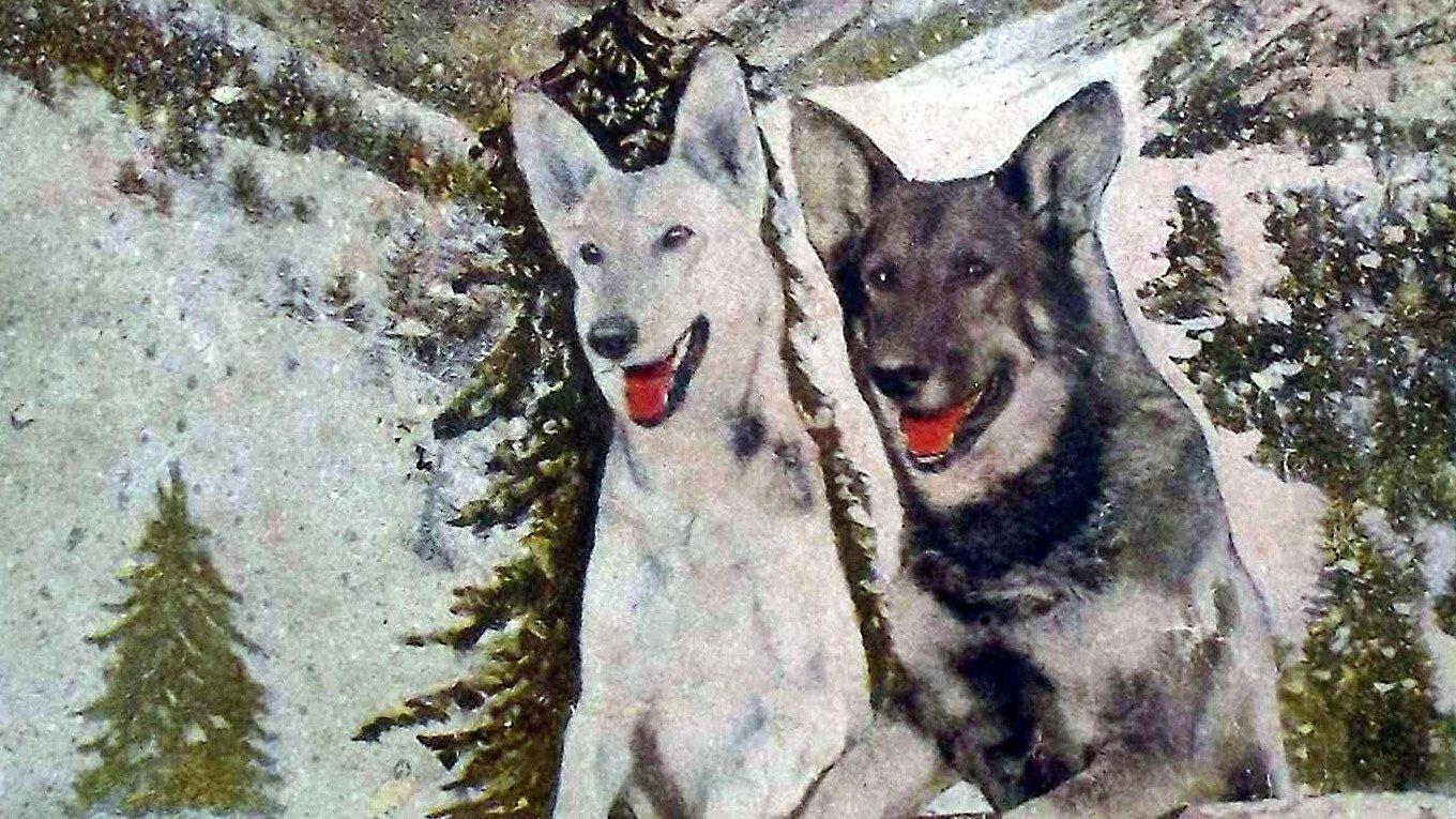 A Hero of the Big Snows 1926 movie scene