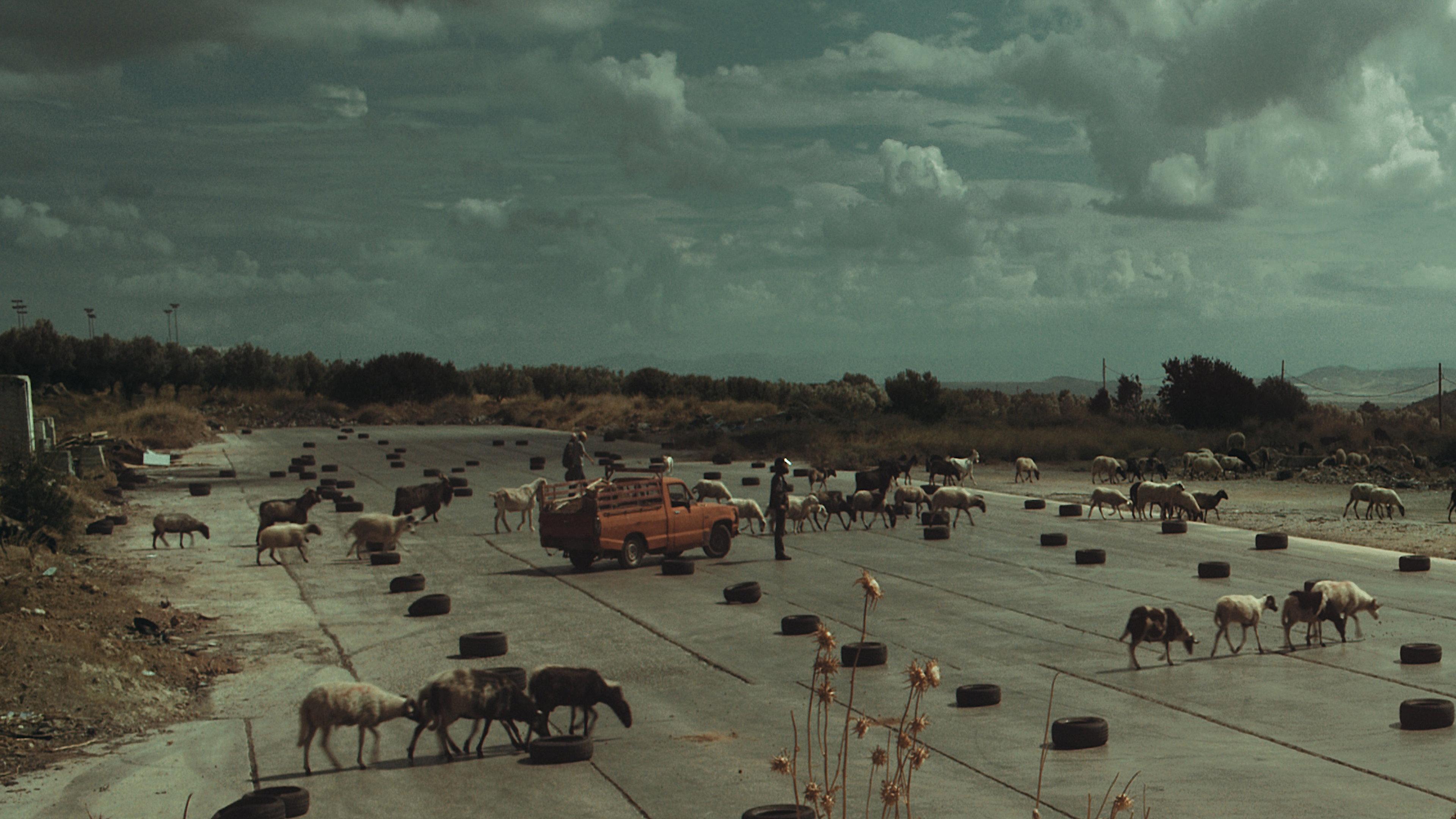 The Future is an Elder Cow  movie scene