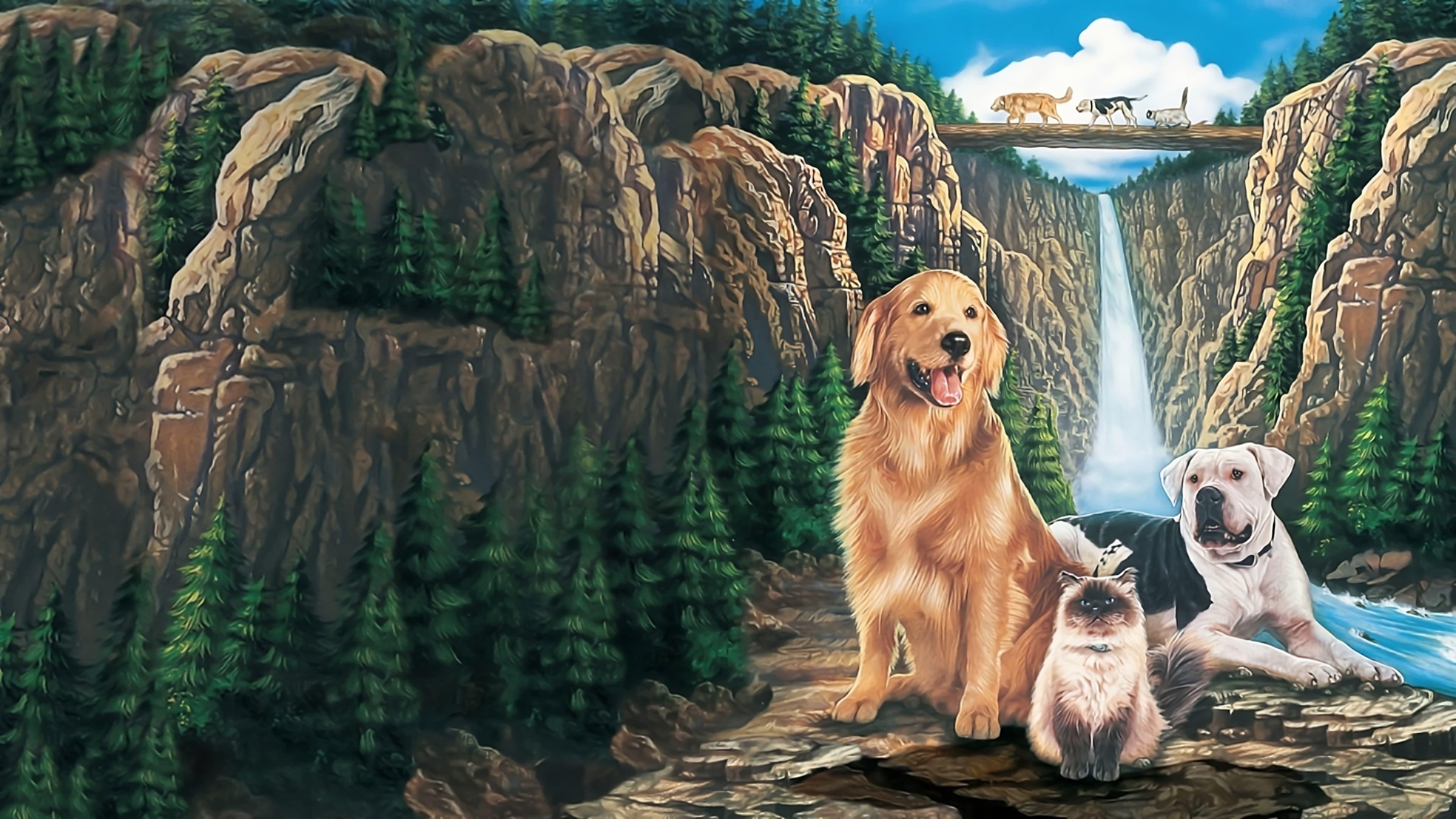 Homeward Bound: The Incredible Journey 1993 movie scene