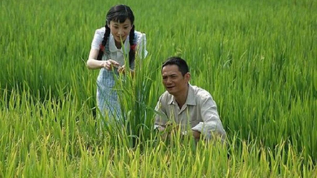 Yuan Long Ping 2009 movie scene
