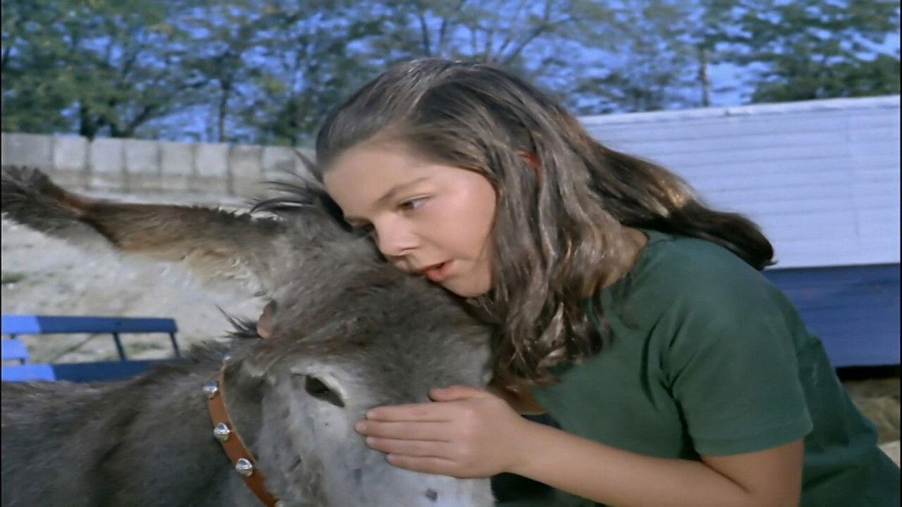 The Bienvenido's Story 1964 movie scene