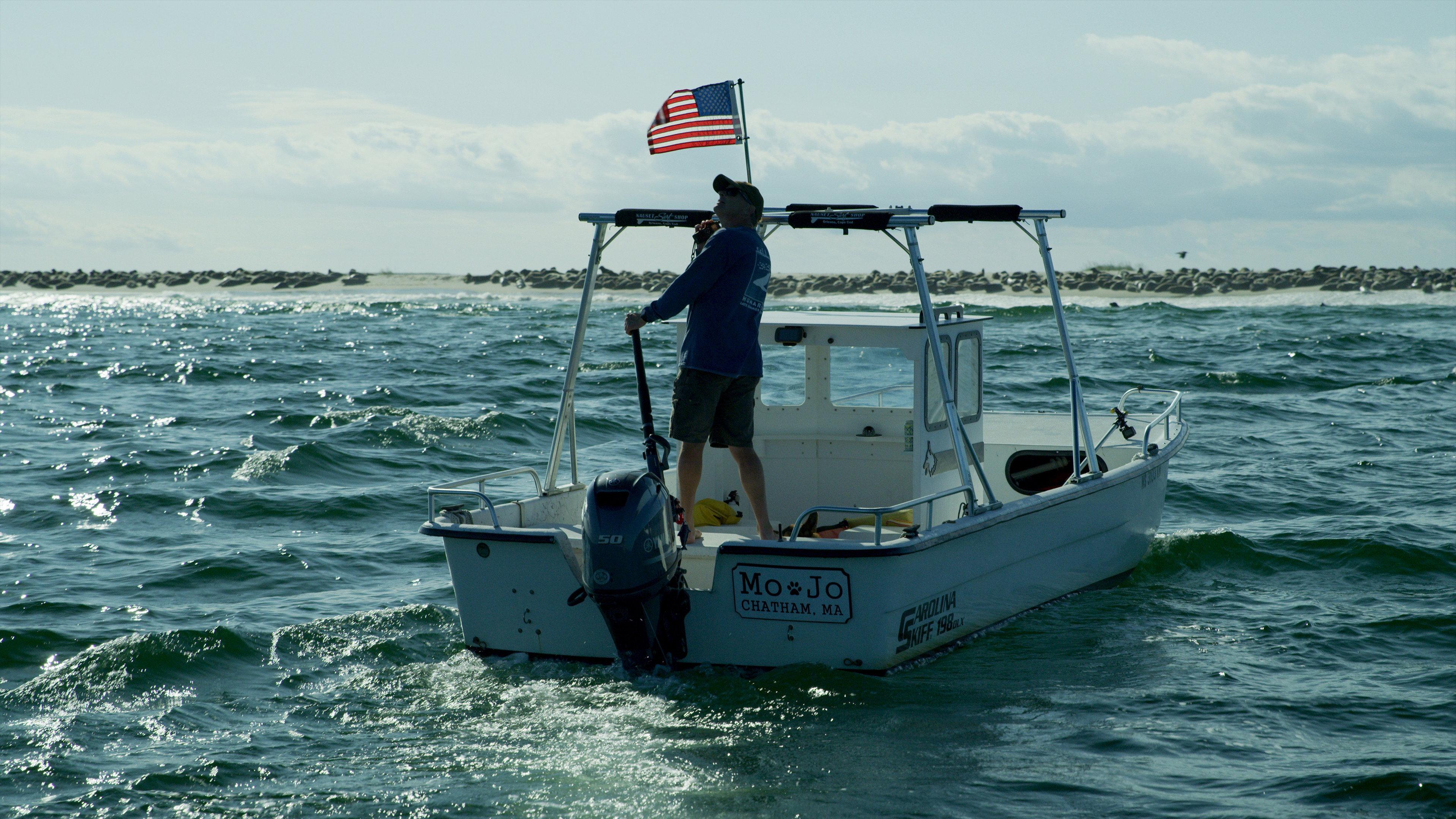 Great White Summer 2024 movie scene