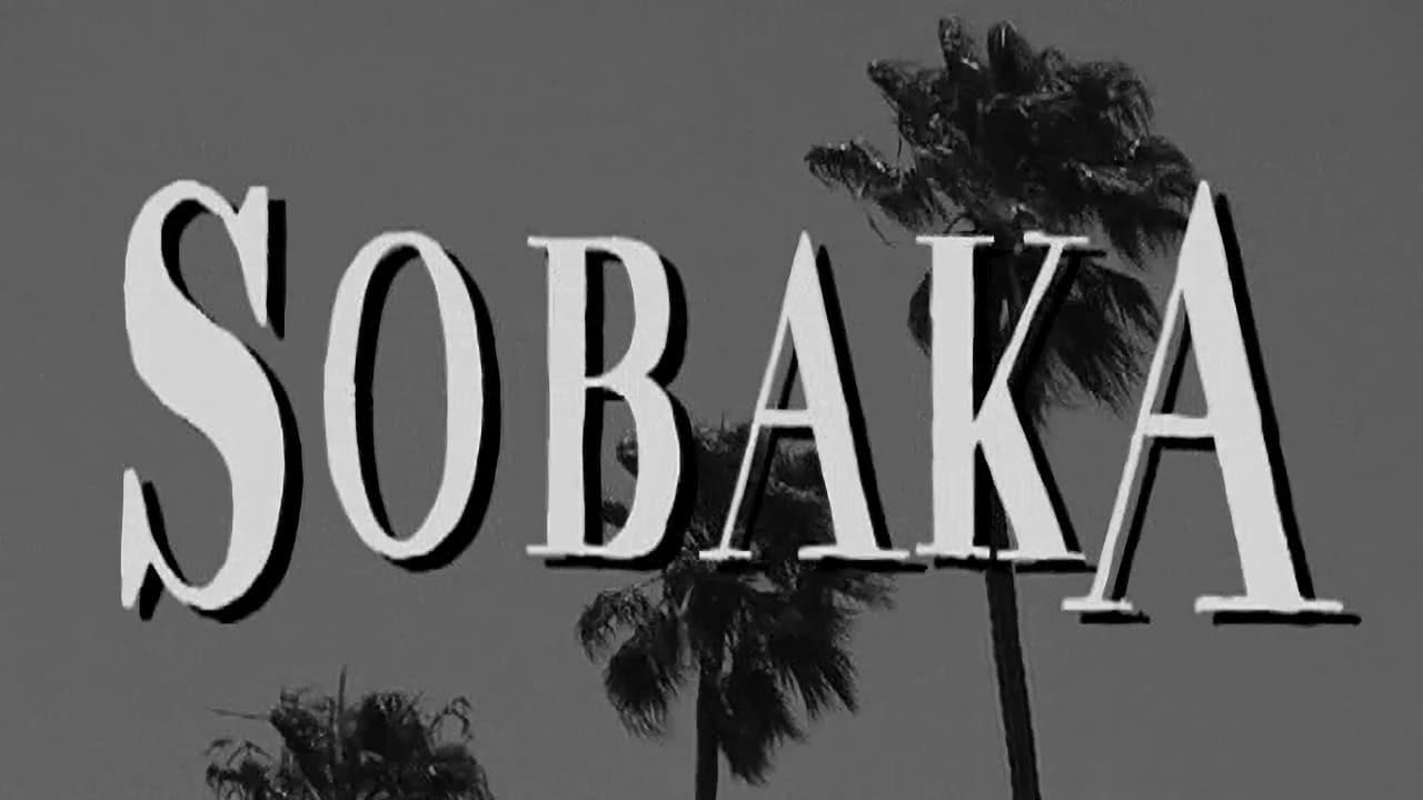 Sobaka 2008 movie scene