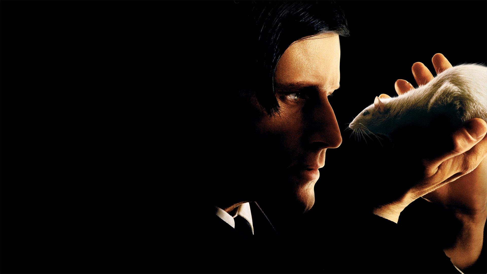 Willard 2003 movie scene