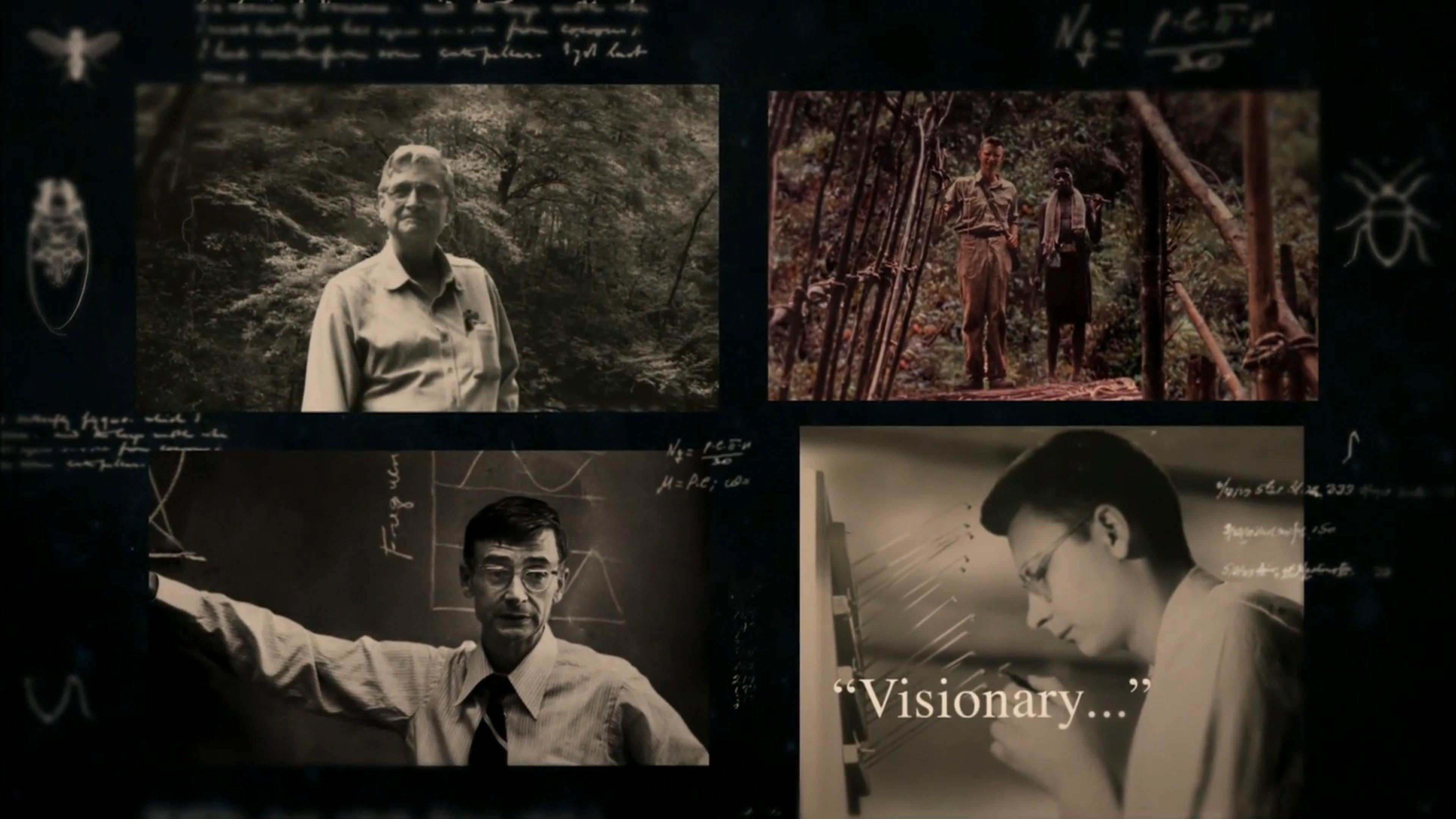 E.O. Wilson – Of Ants and Men 2015 movie scene