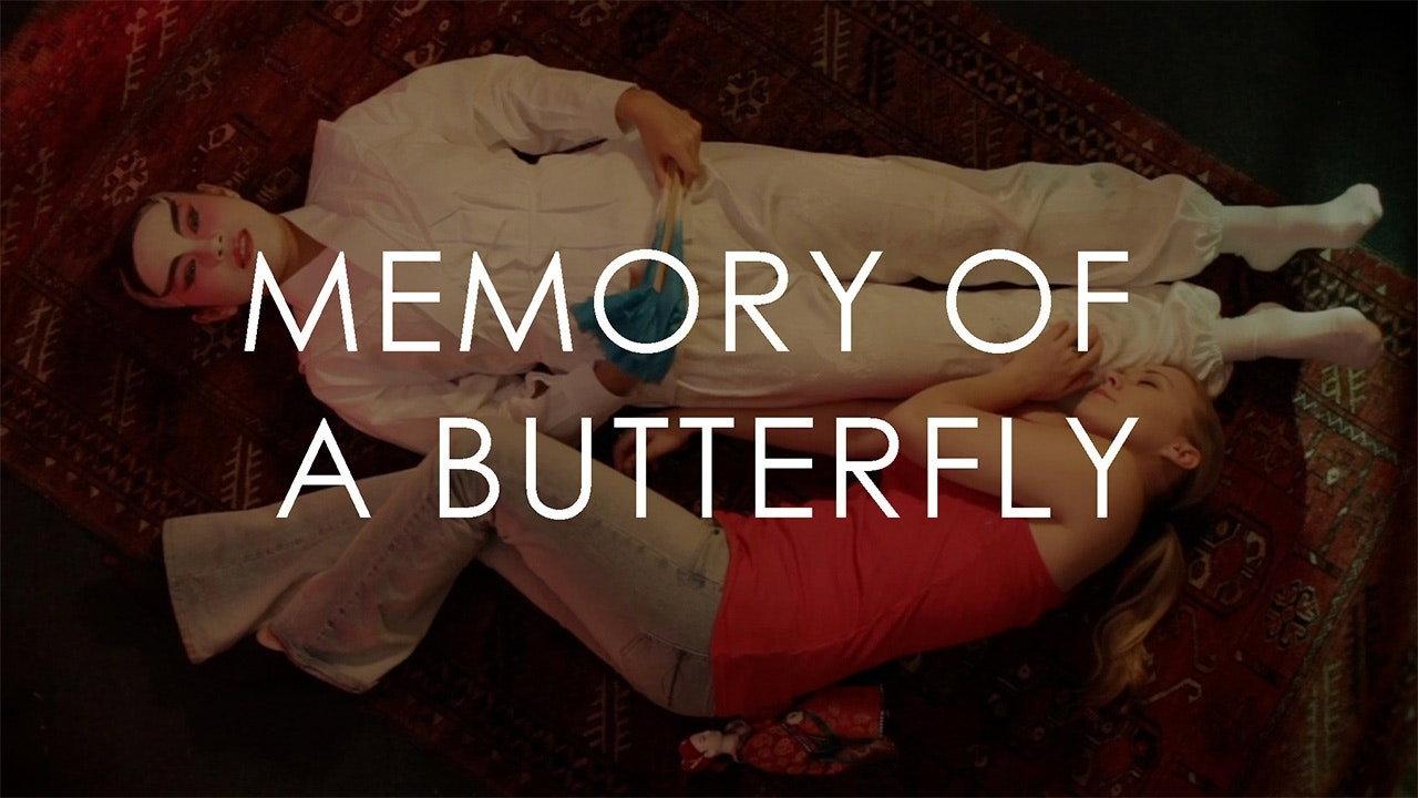 Memory of a Butterfly 2012 movie scene