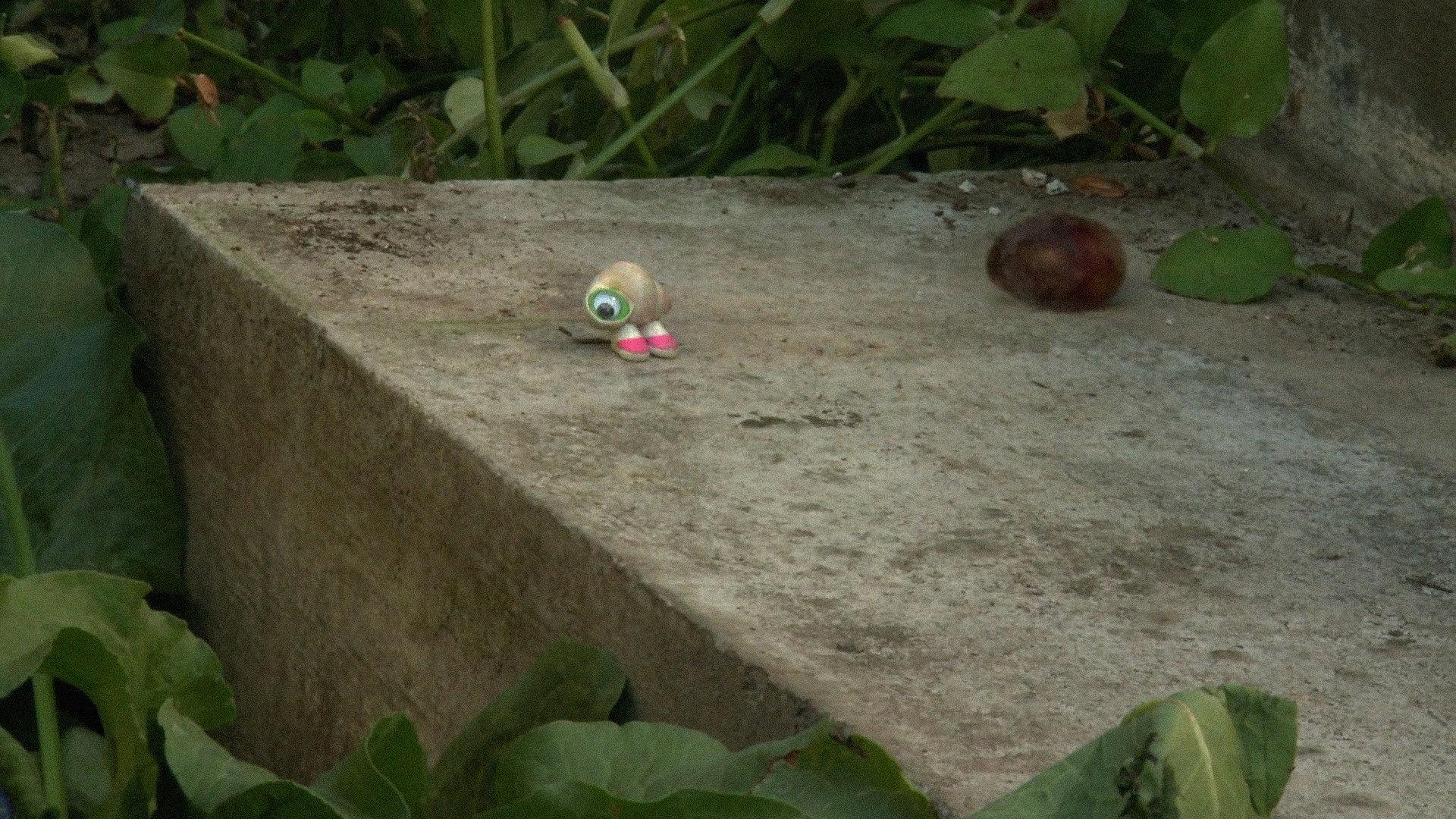 Marcel the Shell with Shoes On, Three 2014 movie scene