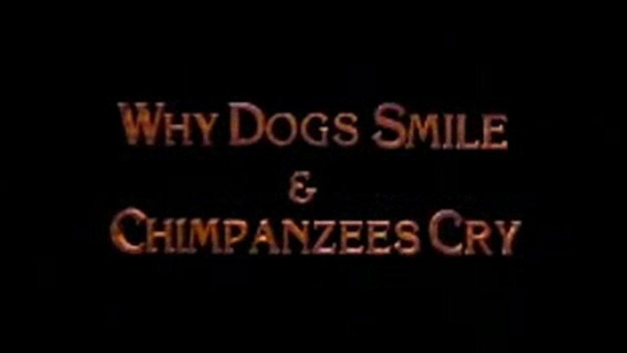 Why Dogs Smile and Chimpanzees Cry 1999 movie scene