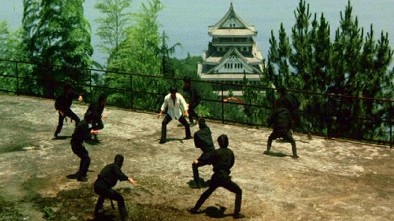 Which Is Stronger, Karate or the Tiger? 1976 movie scene