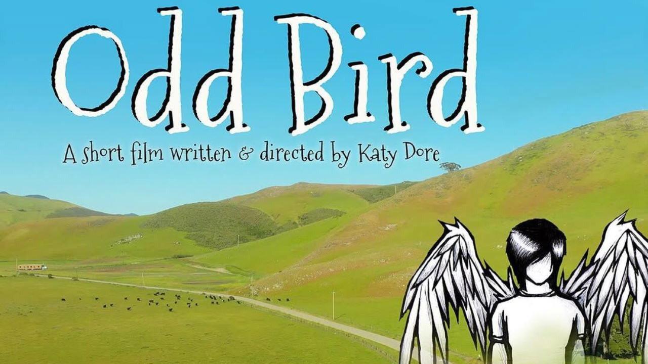 Odd Bird 2019 movie scene