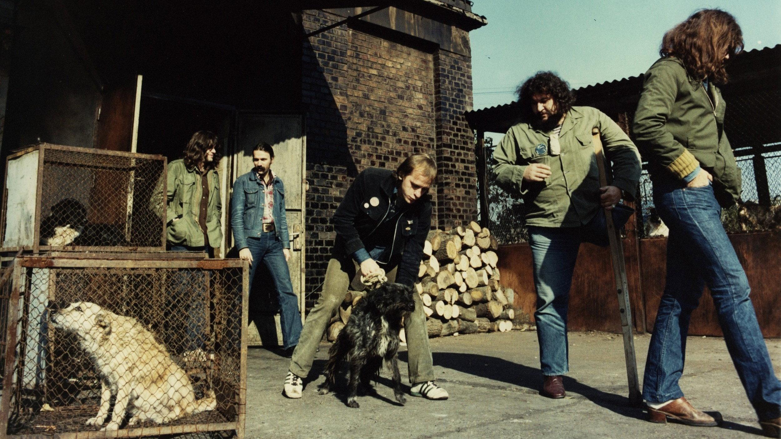 Bald Dog Rock 1981 movie scene