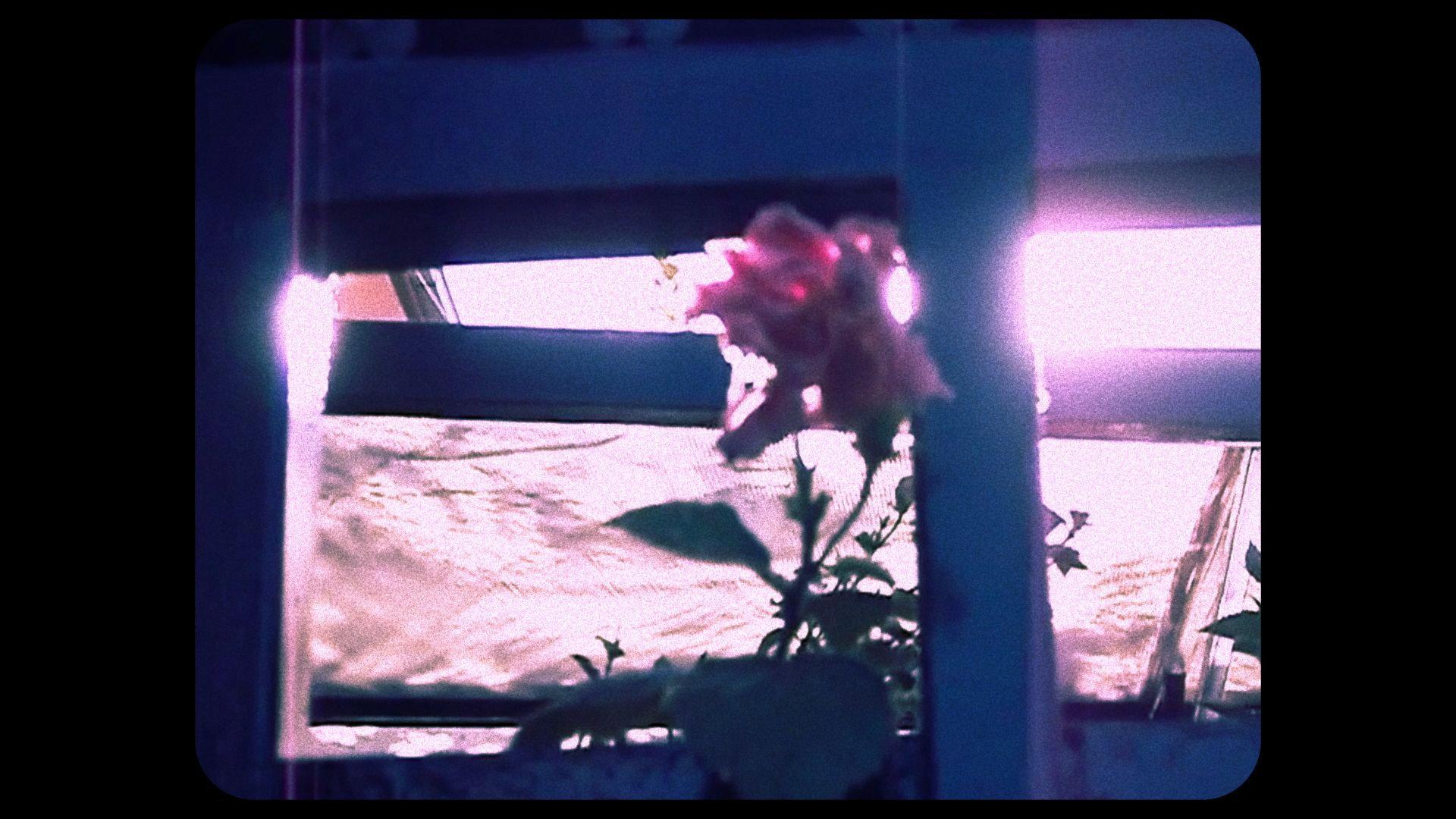 The Echoes of Lost Memory 2024 movie scene
