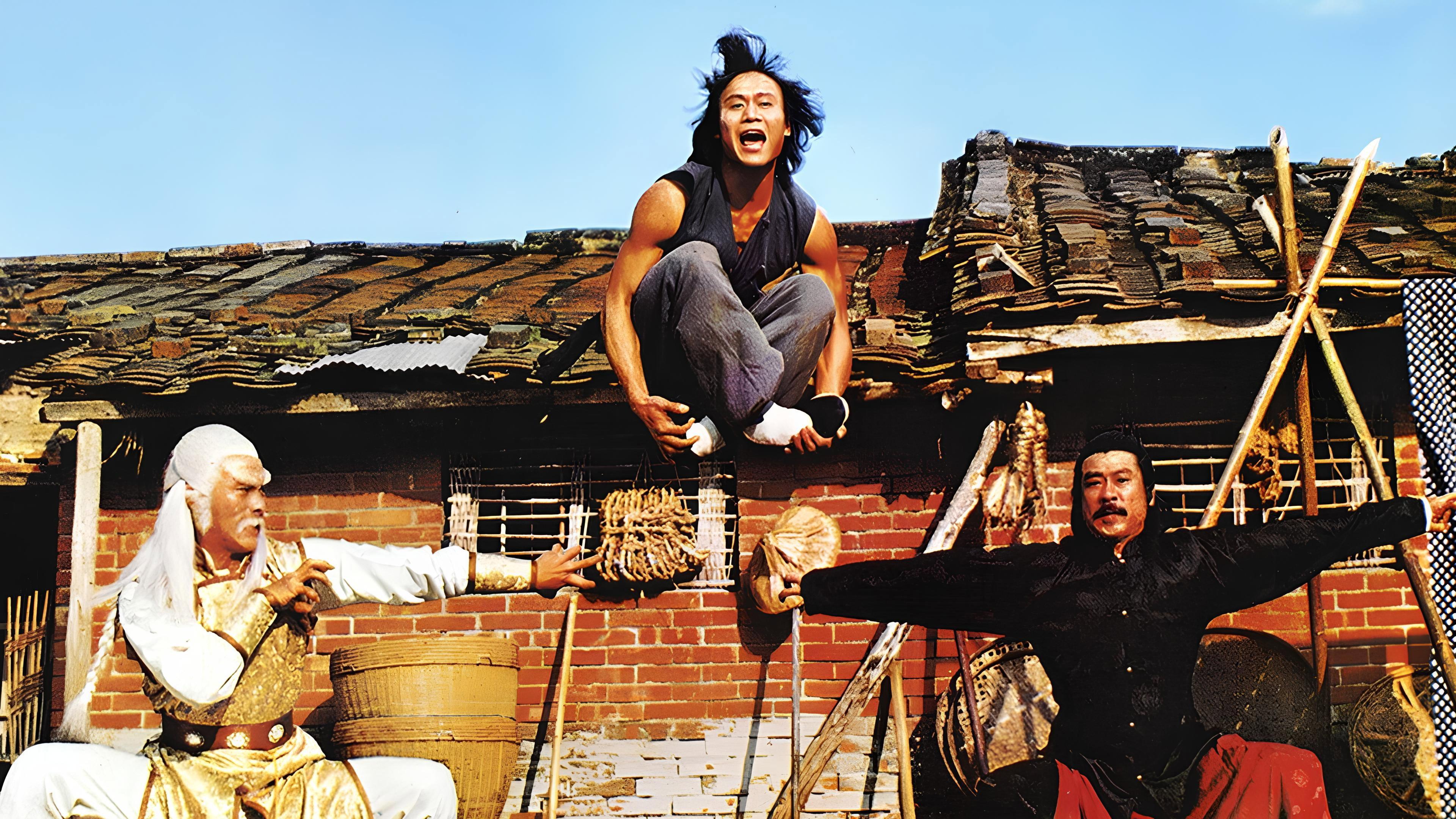 Seven Steps of Kung Fu 1979 movie scene