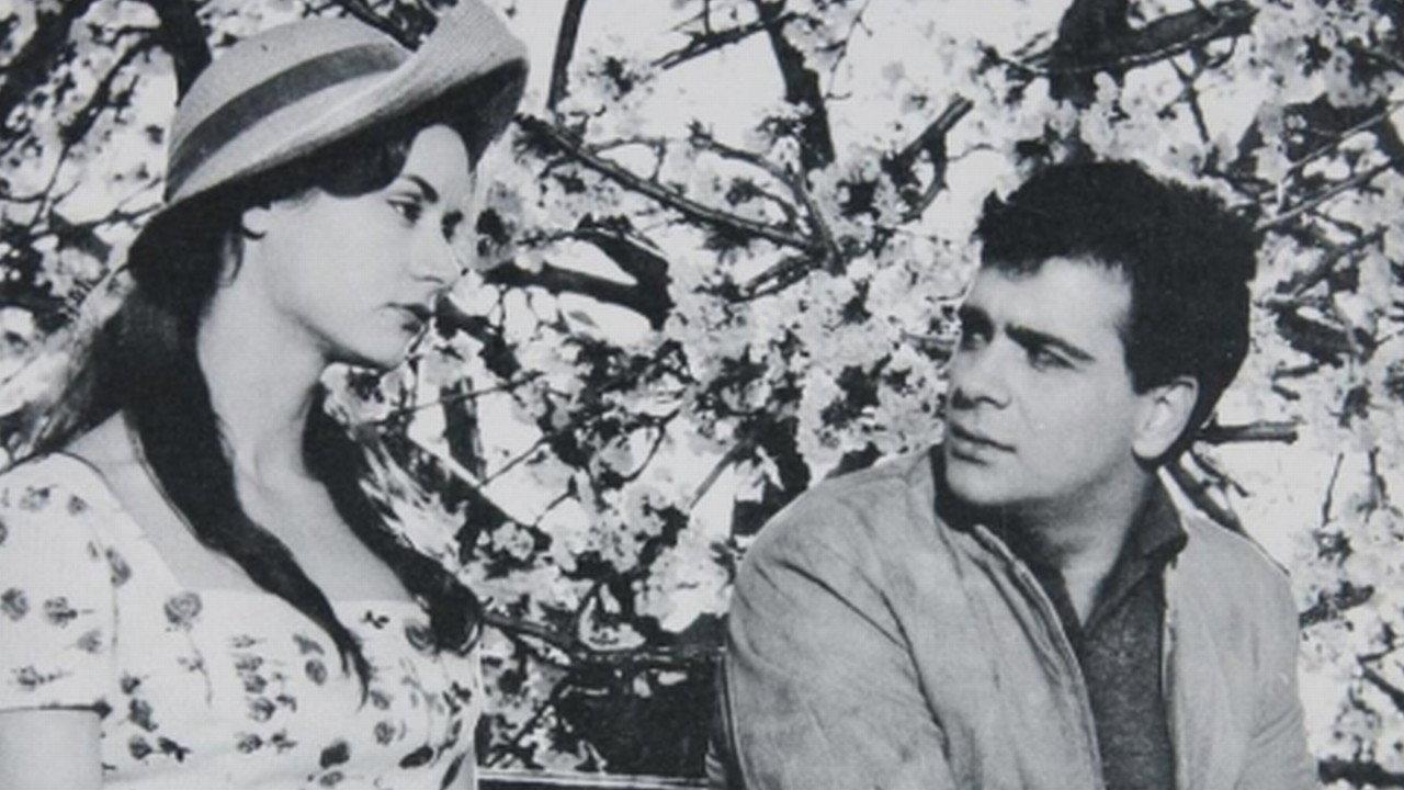Amaryllis 1959 movie scene