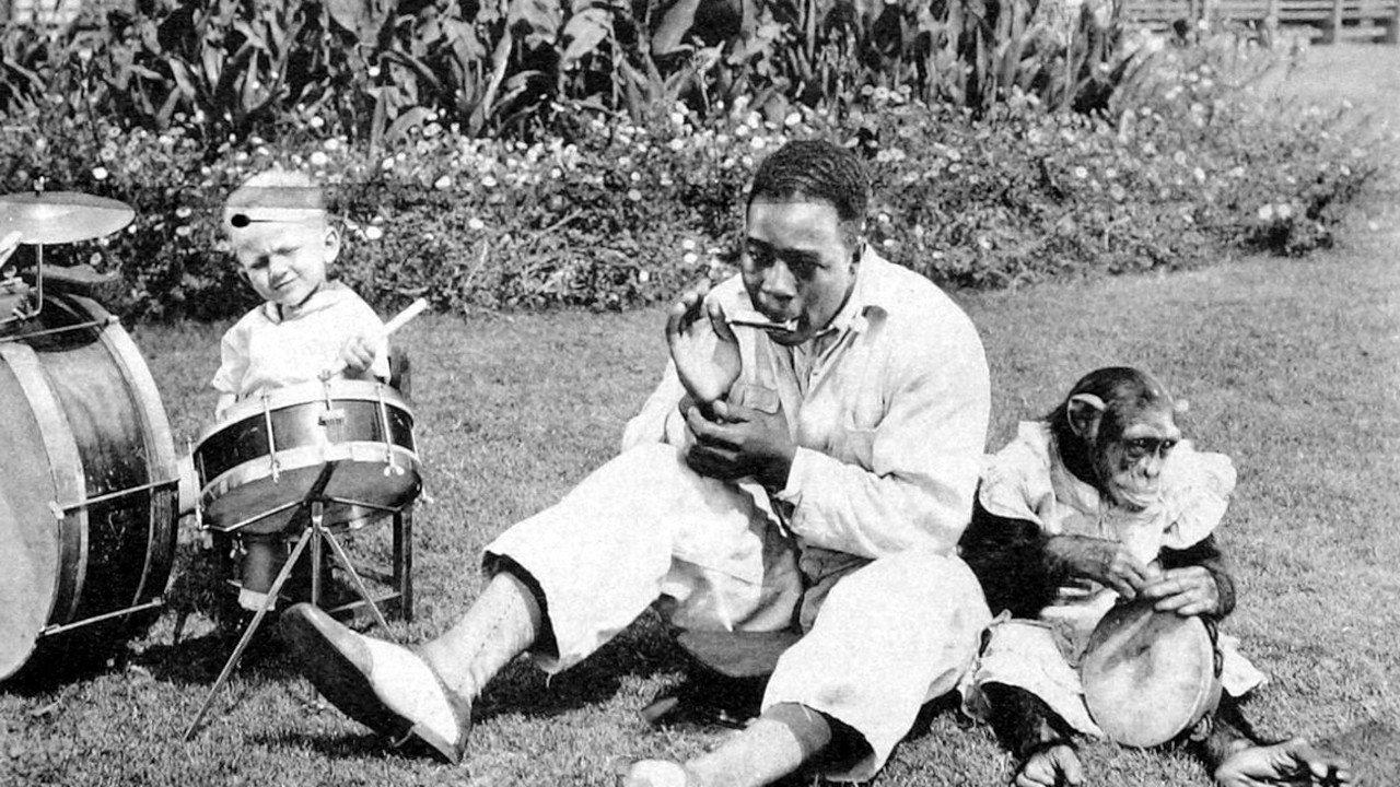 Who's Who in the Zoo 1931 movie scene
