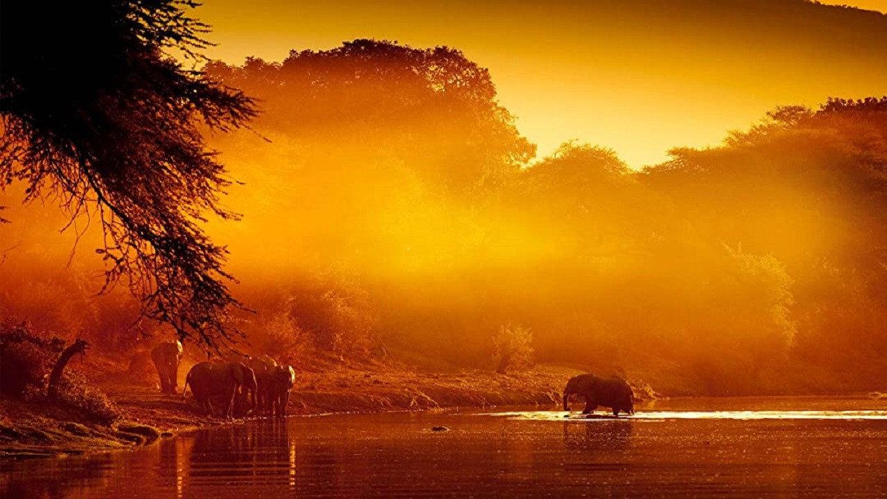 Zambezi: Force of Life  movie scene