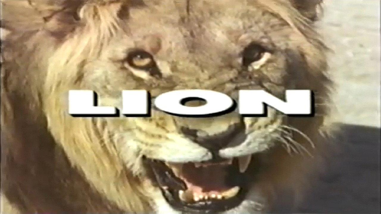 Predators of the Wild: Lion 1992 movie scene
