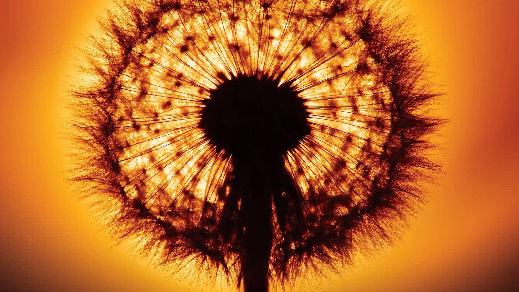 In the Beginning There Was Light 2010 movie scene