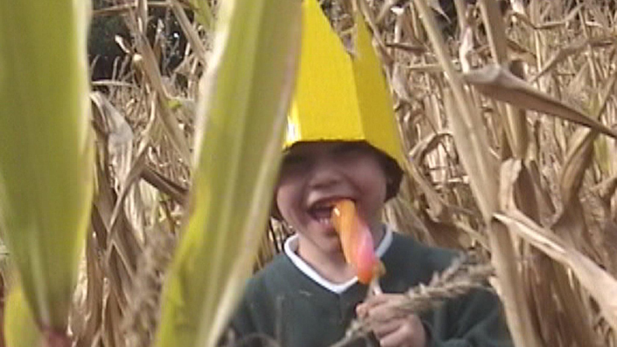 The Ice Lolly King movie scene