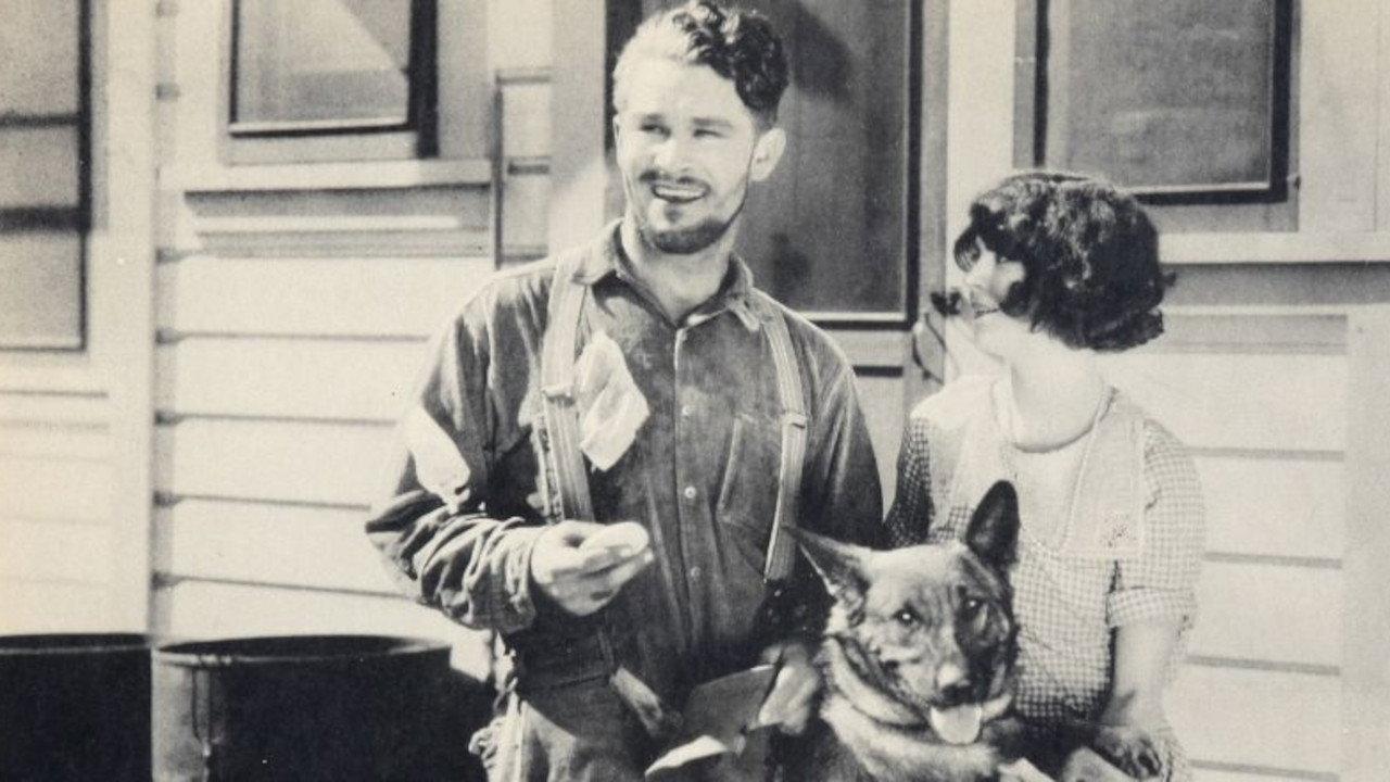Fangs of Wolfheart 1925 movie scene