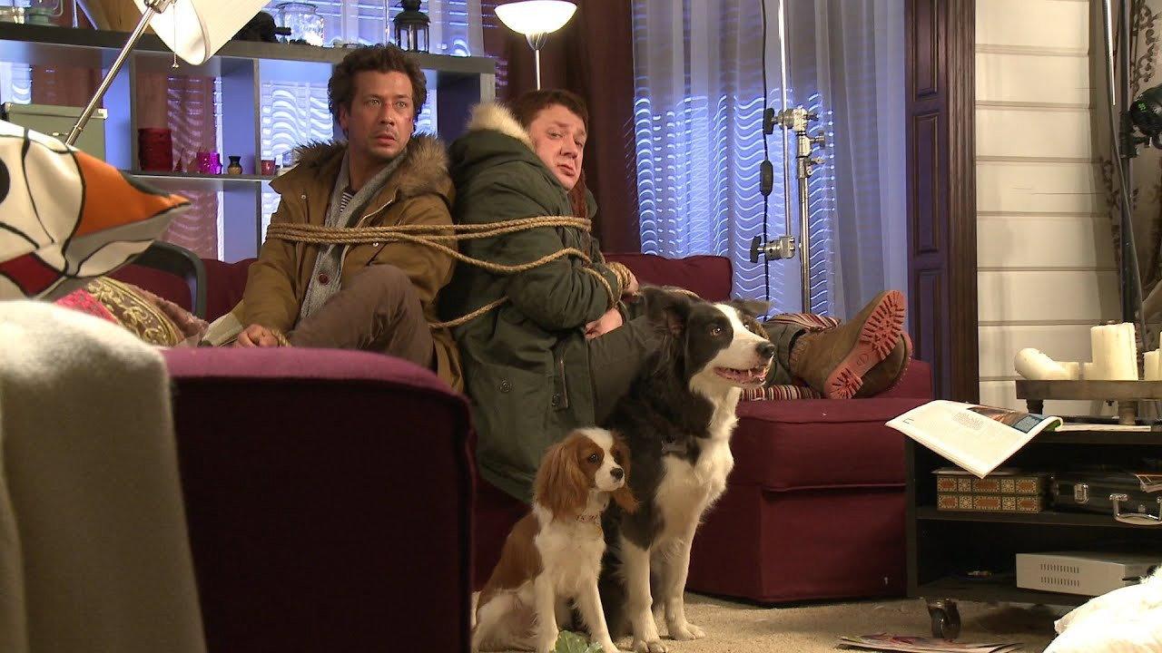 Paws, Bones & Rock'n'roll 2015 movie scene