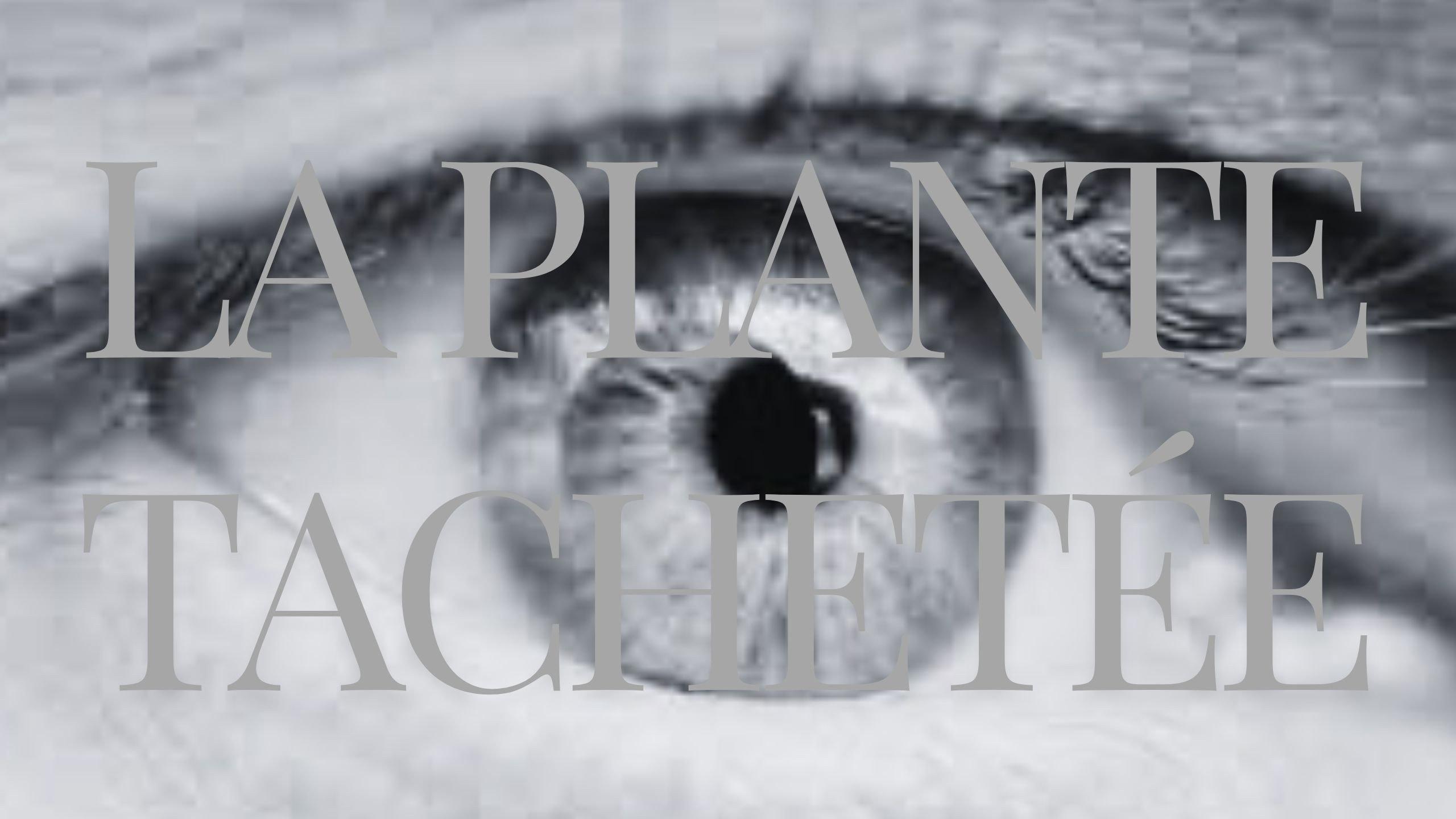 The Spotted Plant 2024 movie scene