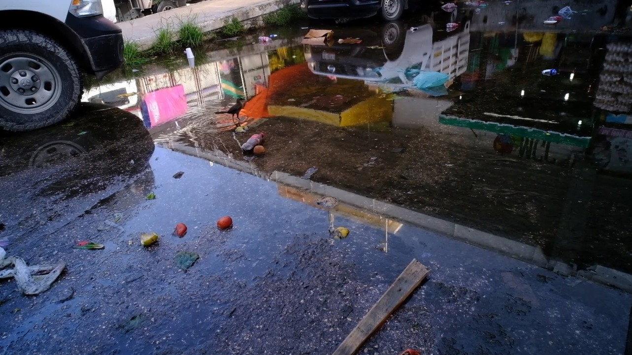 System of Objects  movie scene
