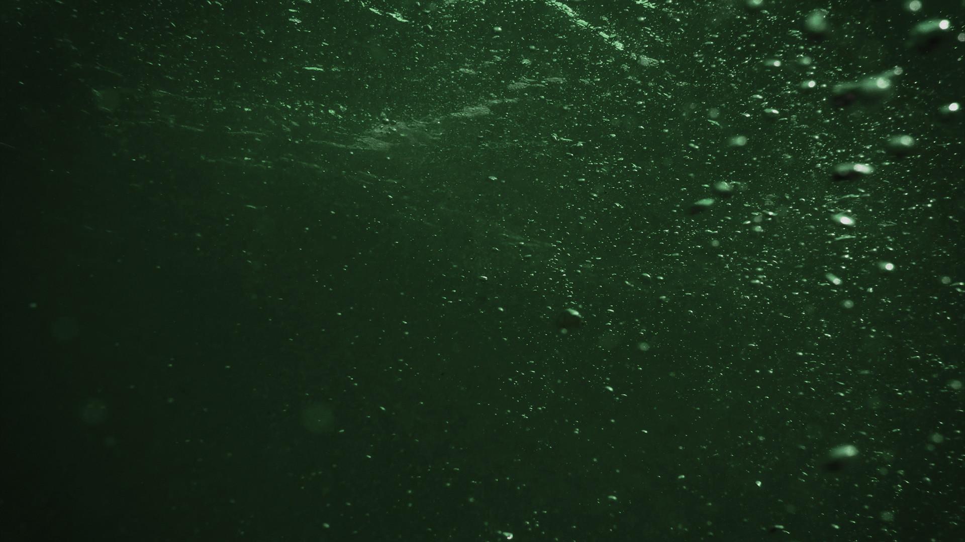 SARCO 2026 movie scene