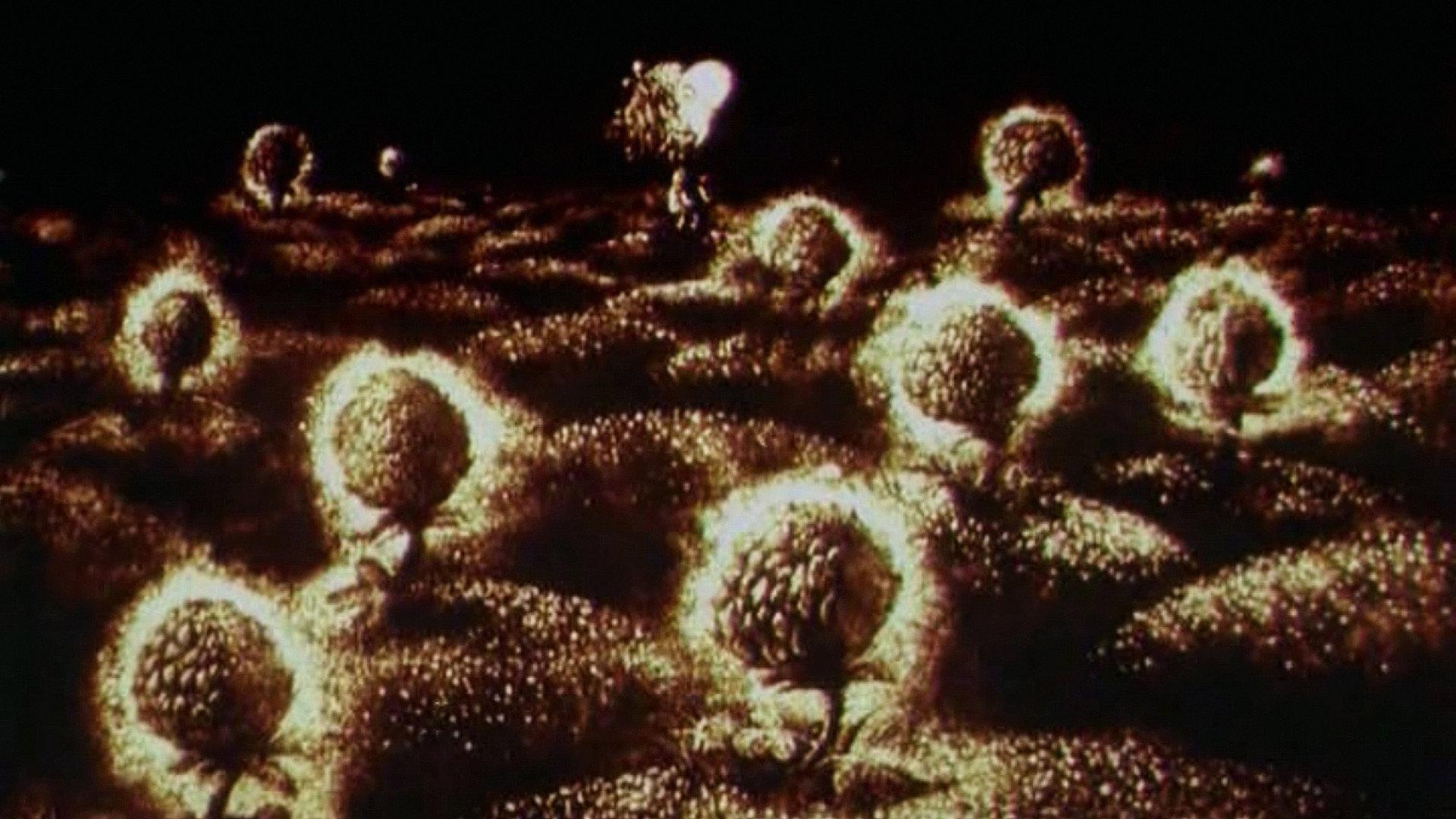 Forest Tales 1997 movie scene