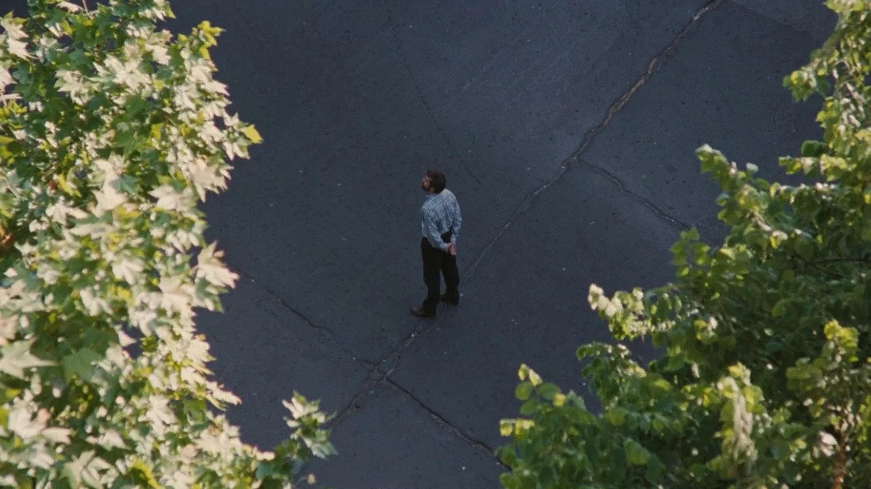 Anguish Cry of Predator Bird 2003 movie scene