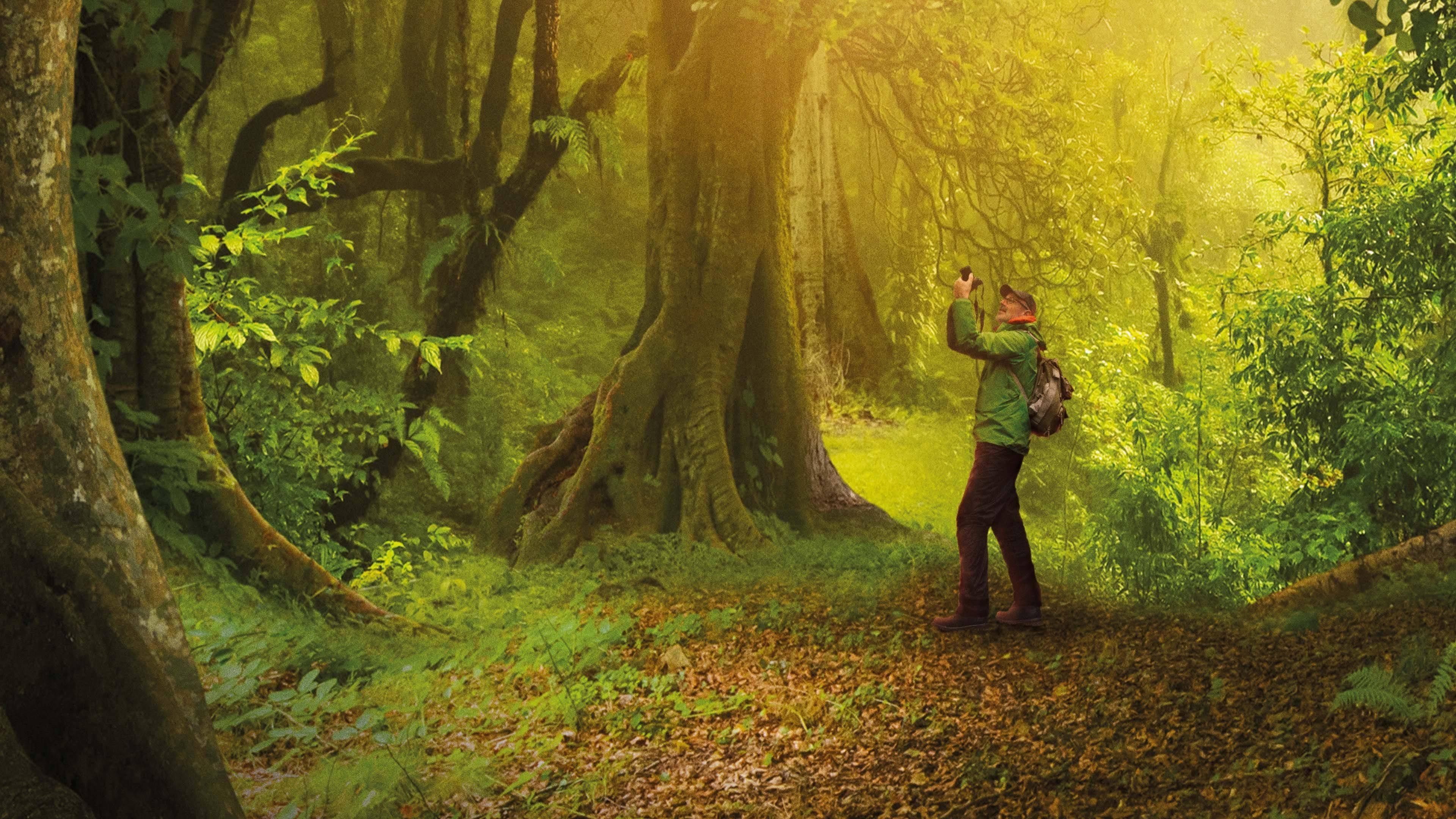 The Hidden Life of Trees 2020 movie scene