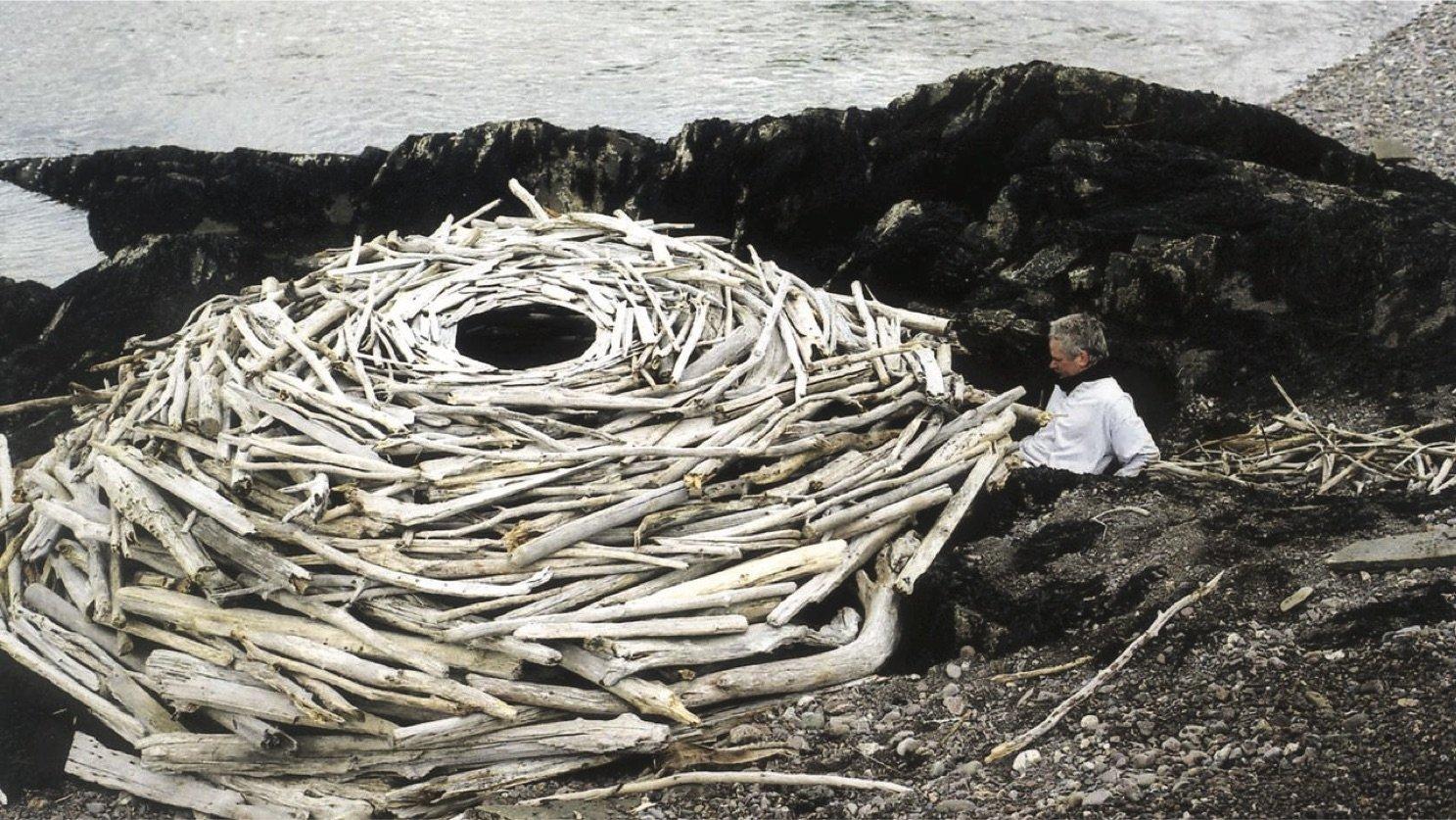 Rivers and Tides 2001 movie scene