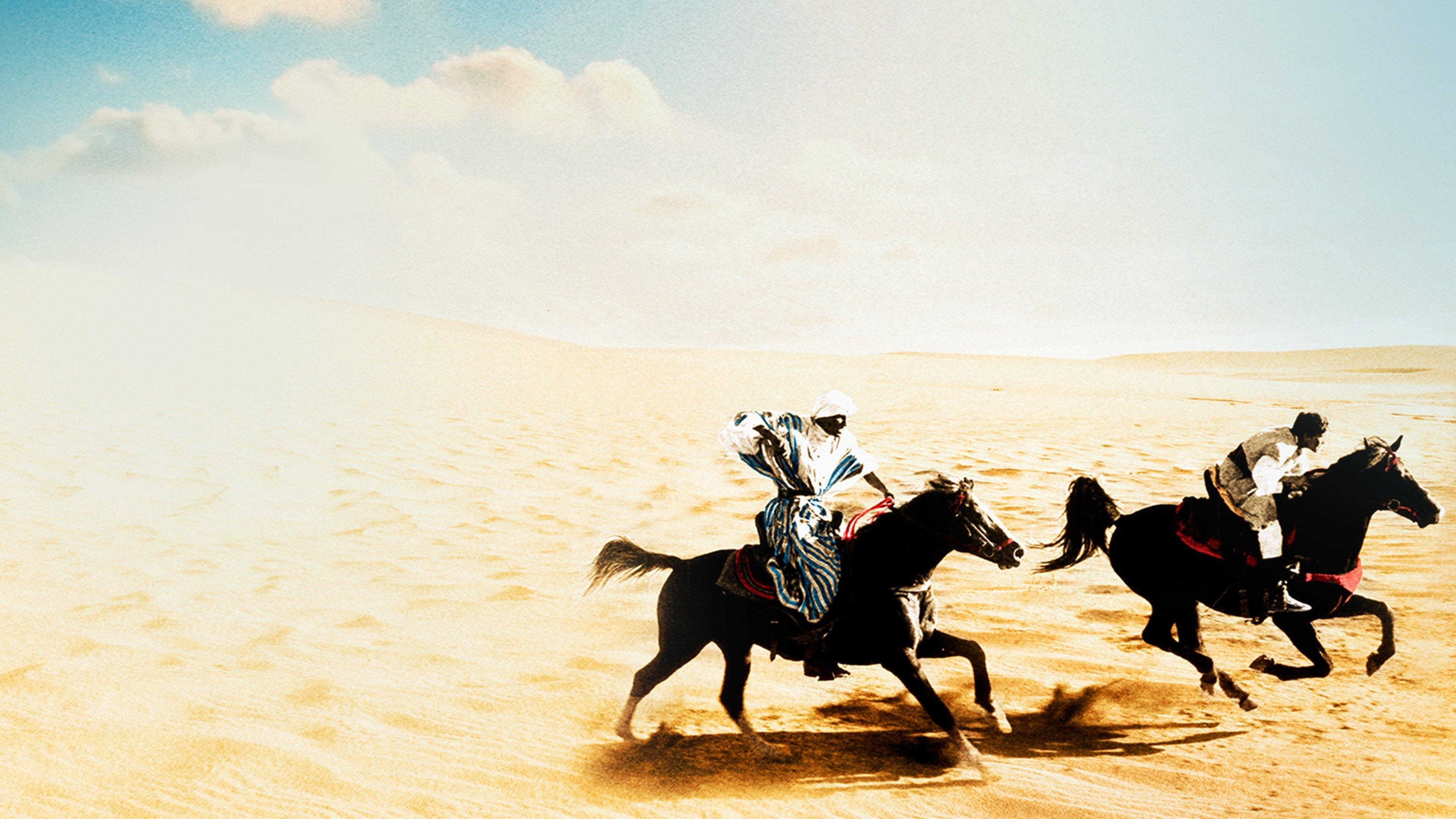 The Black Stallion Returns 1983 movie scene